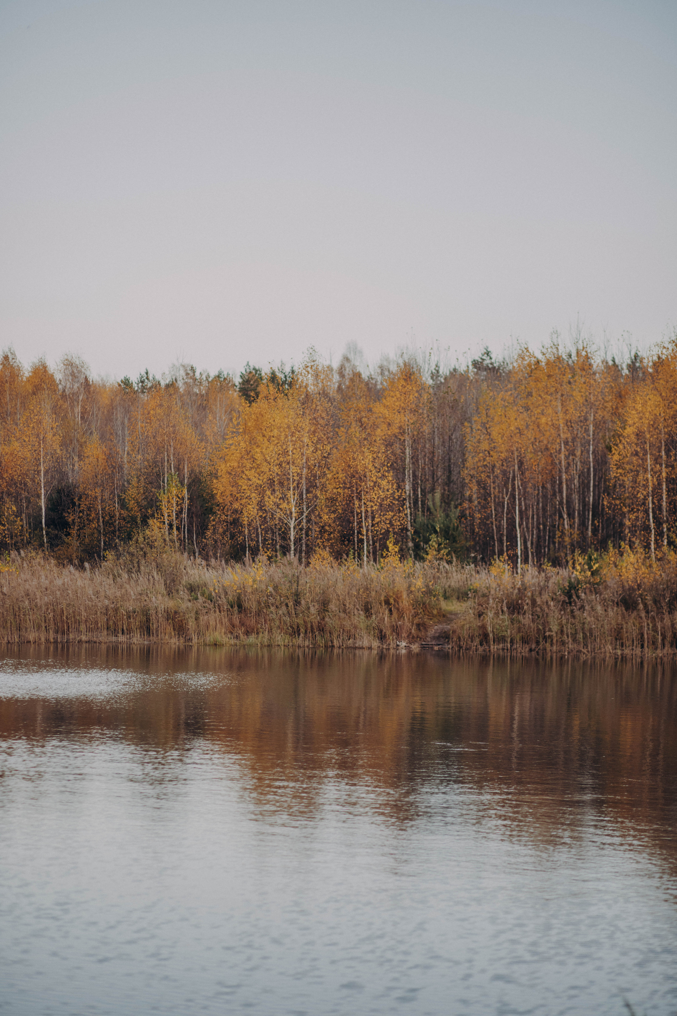 Татьяна и Дмитрий. Фотограф и Видеограф во Владимире