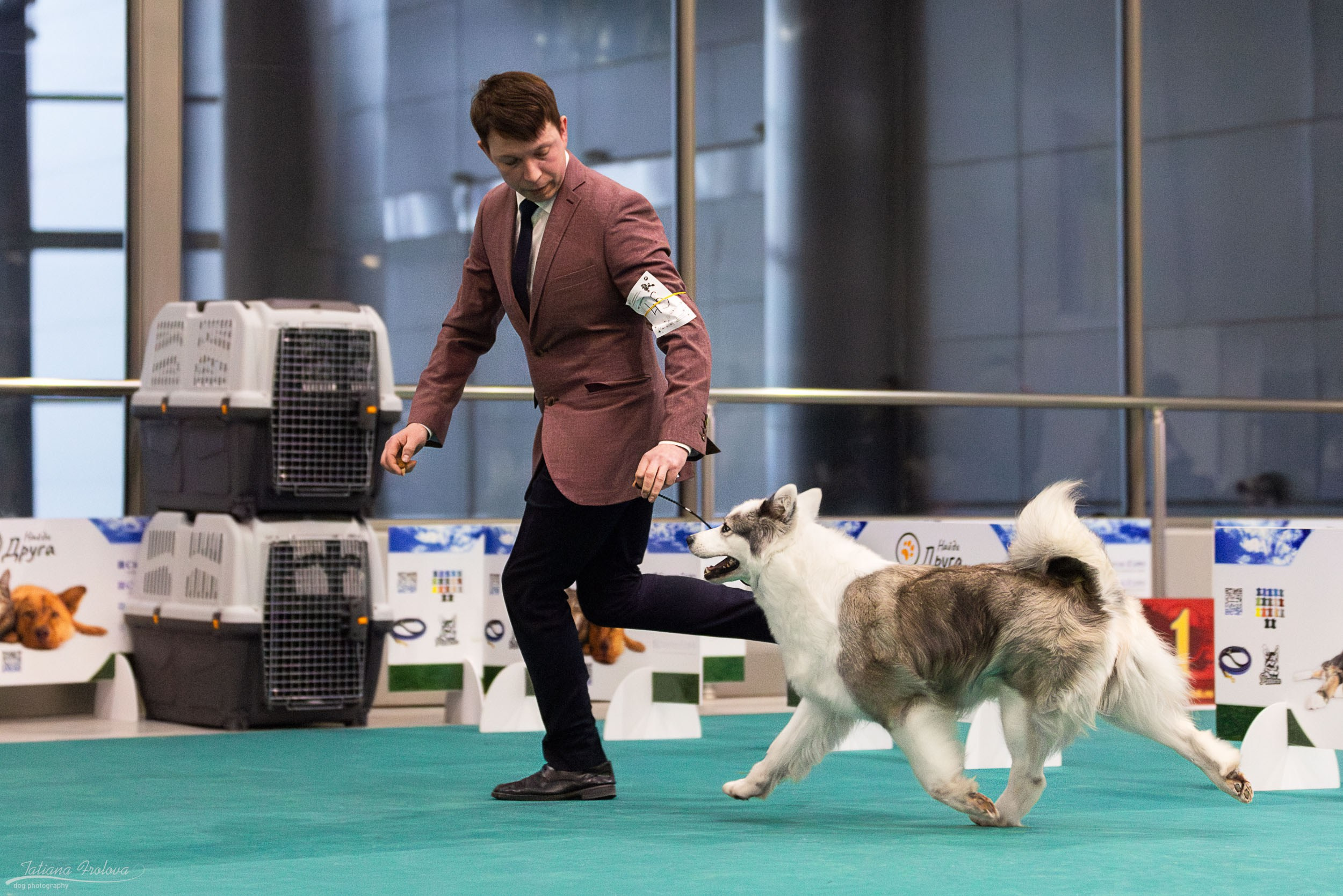 Фото с монопородной выставки. Фотограф-анималист в Москве и Московской области Татьяна Фролова
