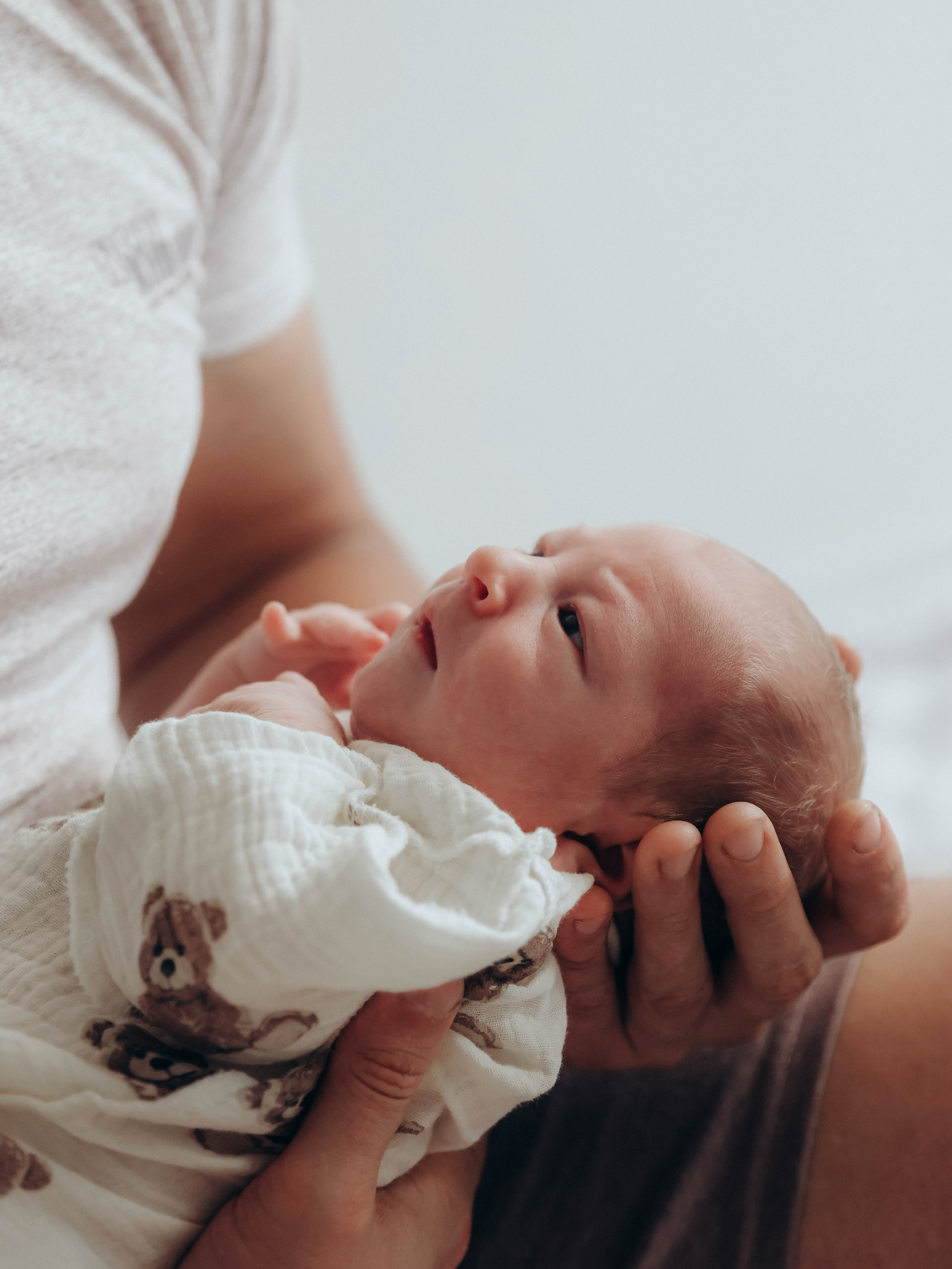 Любовь и котики. Мультифотограф Динара Ахмедзянова