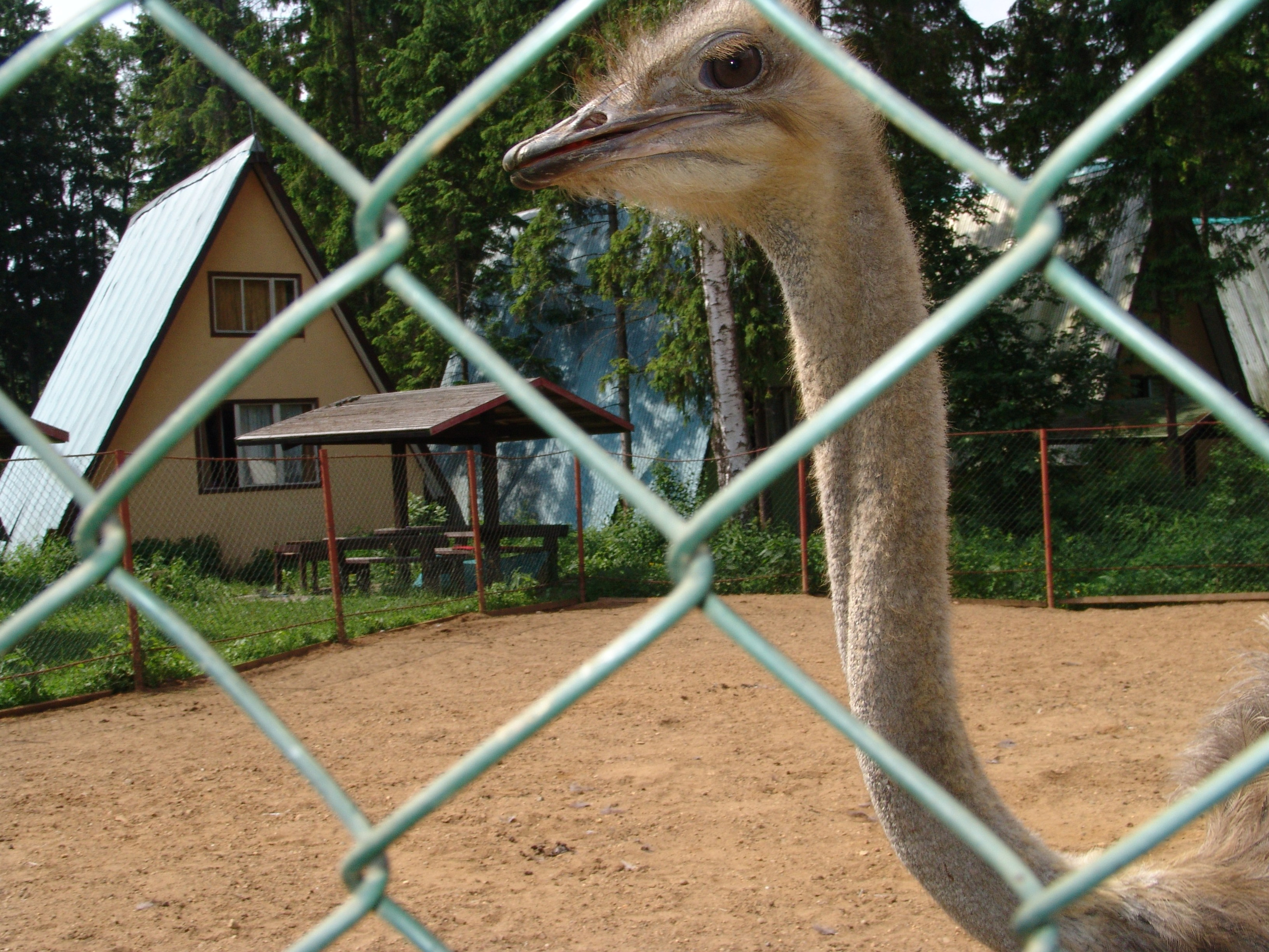 BULENT solonzovo 2005. Заставка