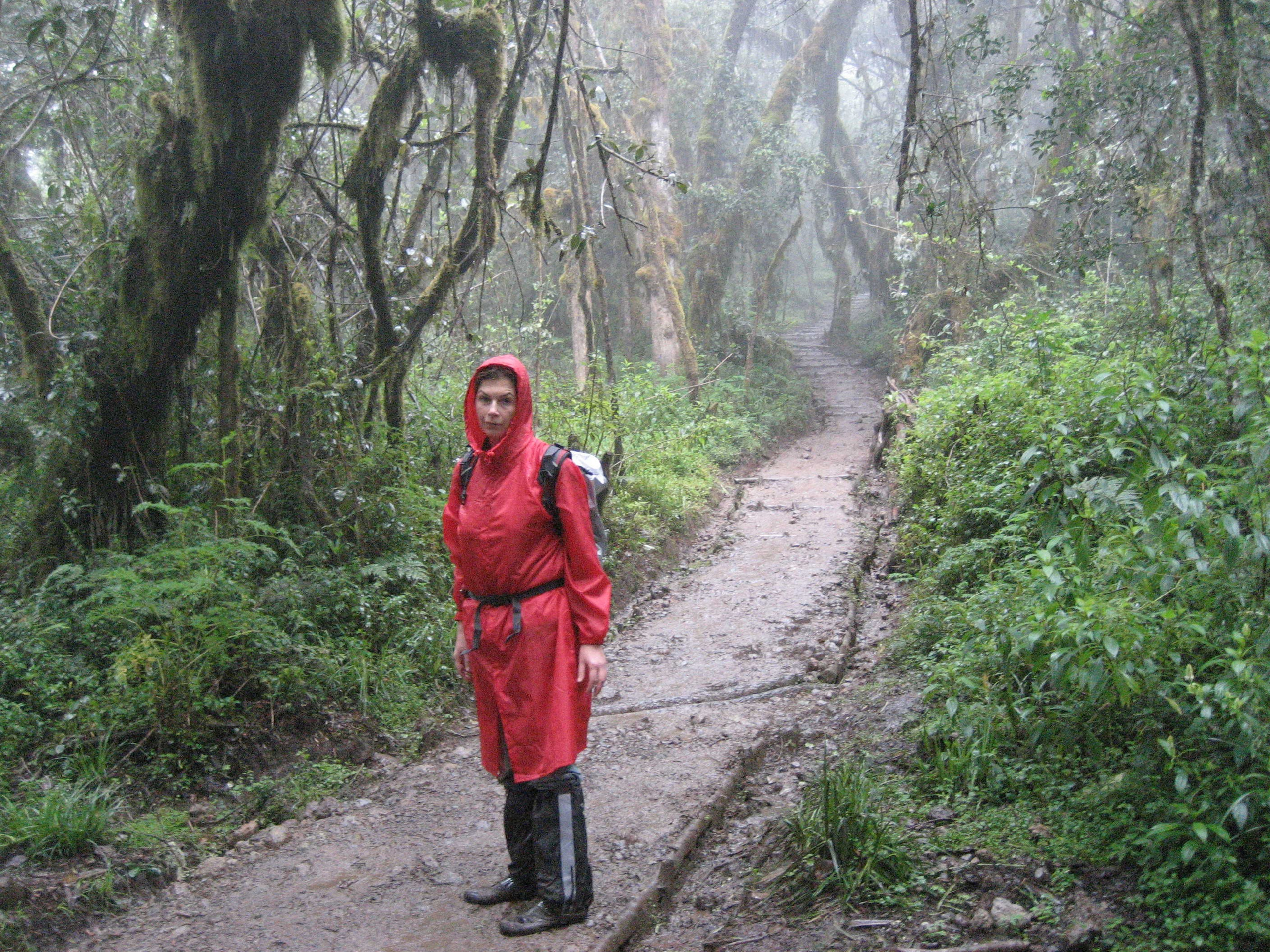 Килиманджаро. Заставка