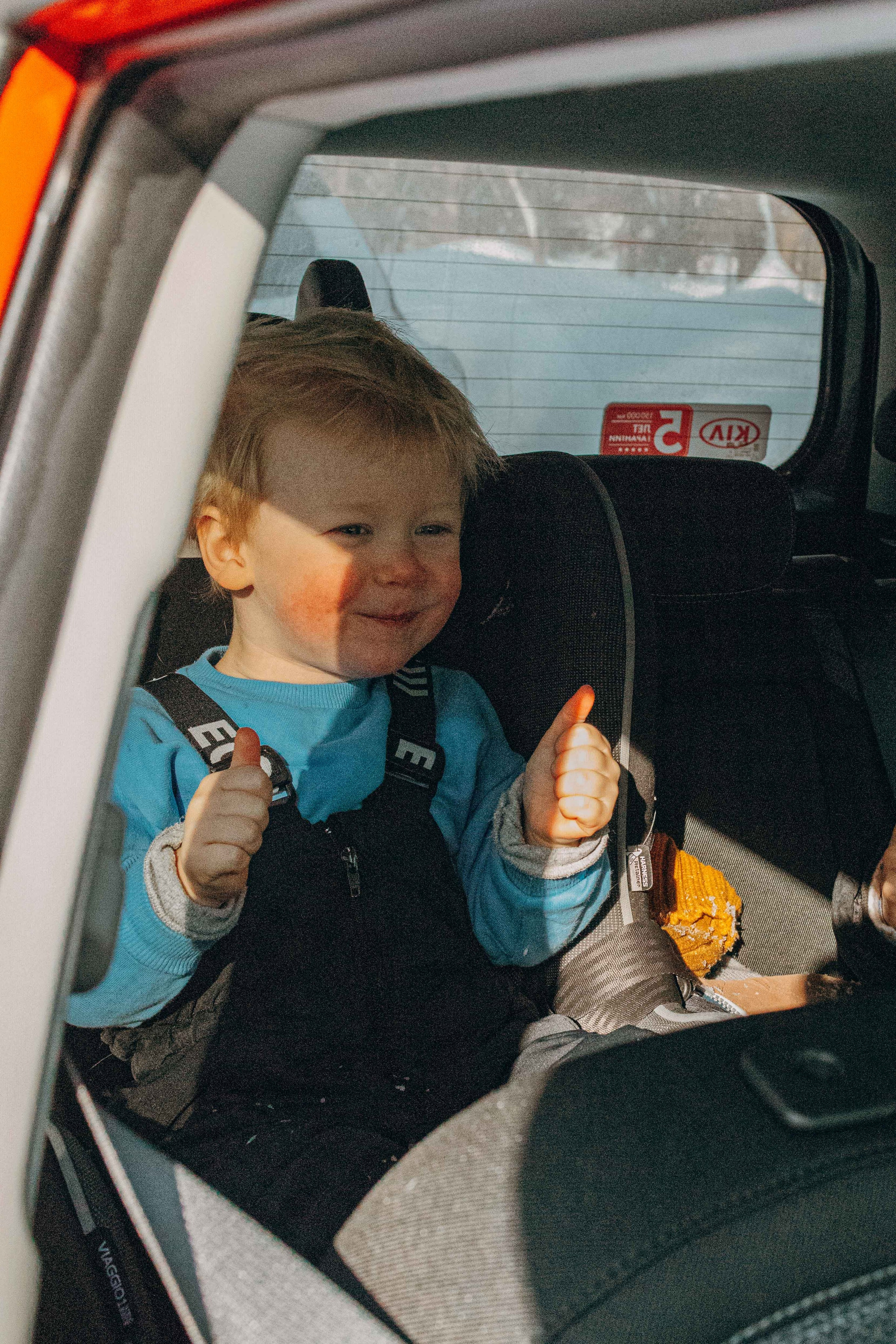 Свобода и ее семья. Фотограф-анималист в Москве Лера Черноног