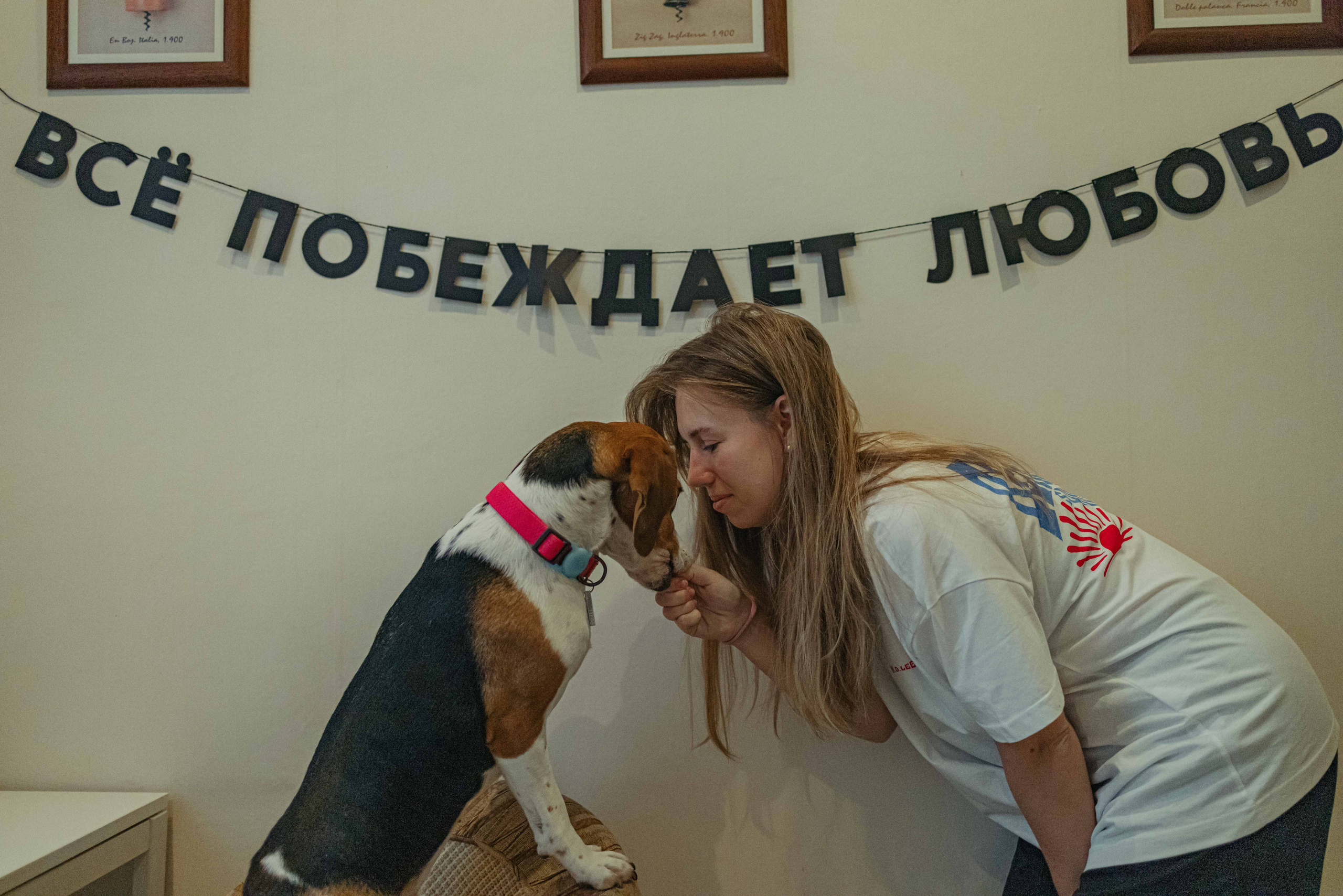 Света и Ива. Фотограф-анималист в Москве Лера Черноног