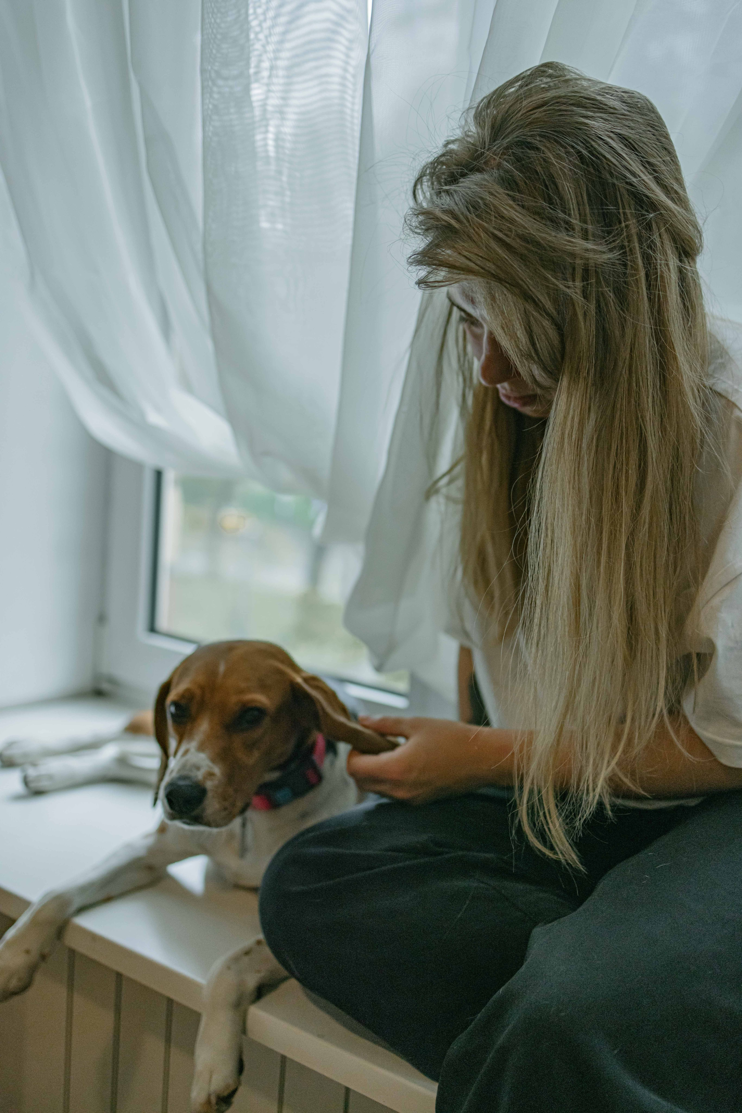 Света и Ива. Фотограф-анималист в Москве Лера Черноног