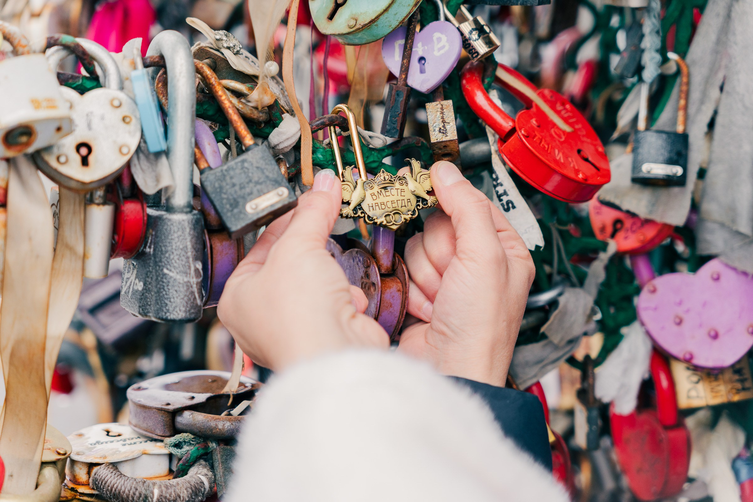 Фотограф Алексей Карпов