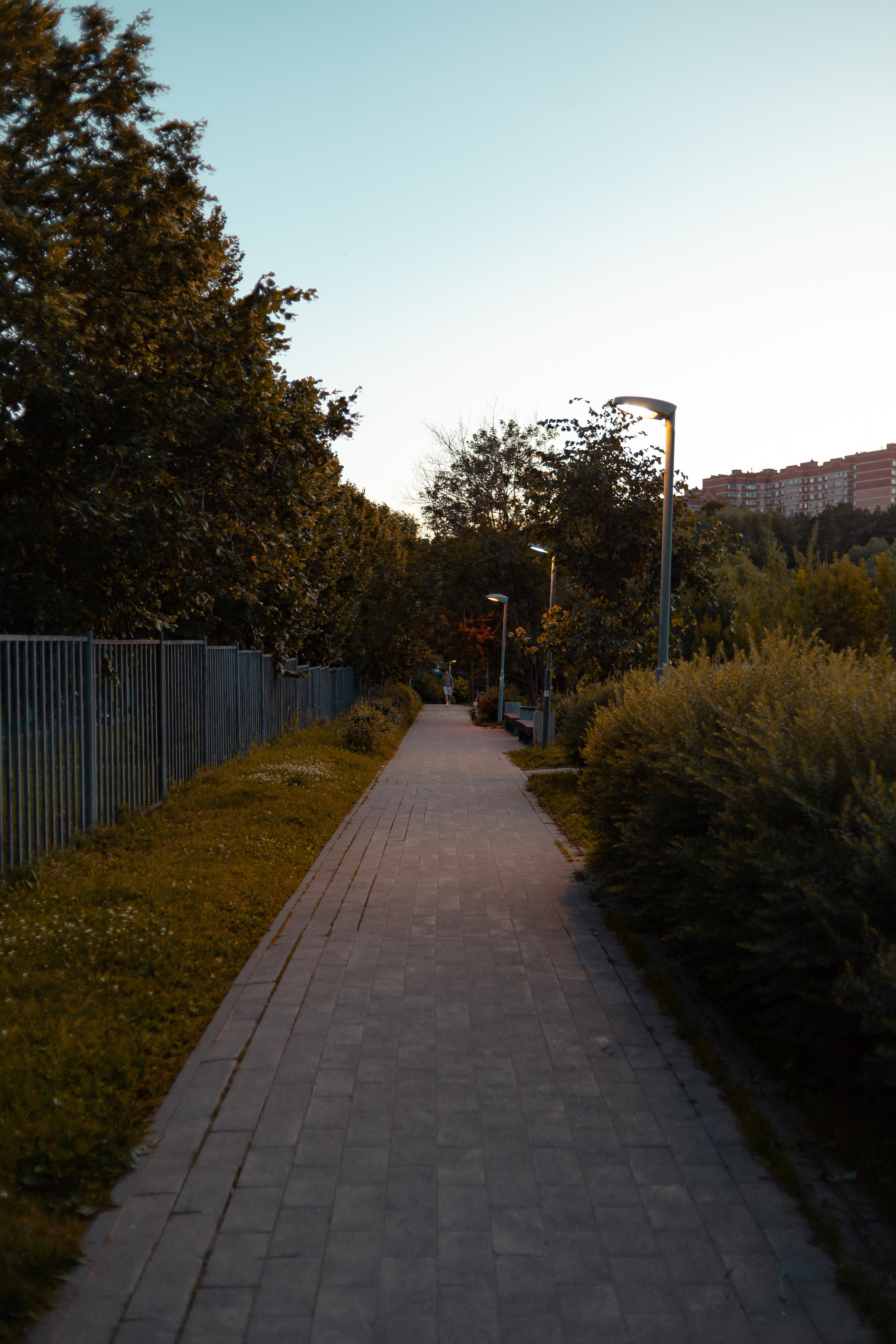 Летний вечер. Папка кадров 📁