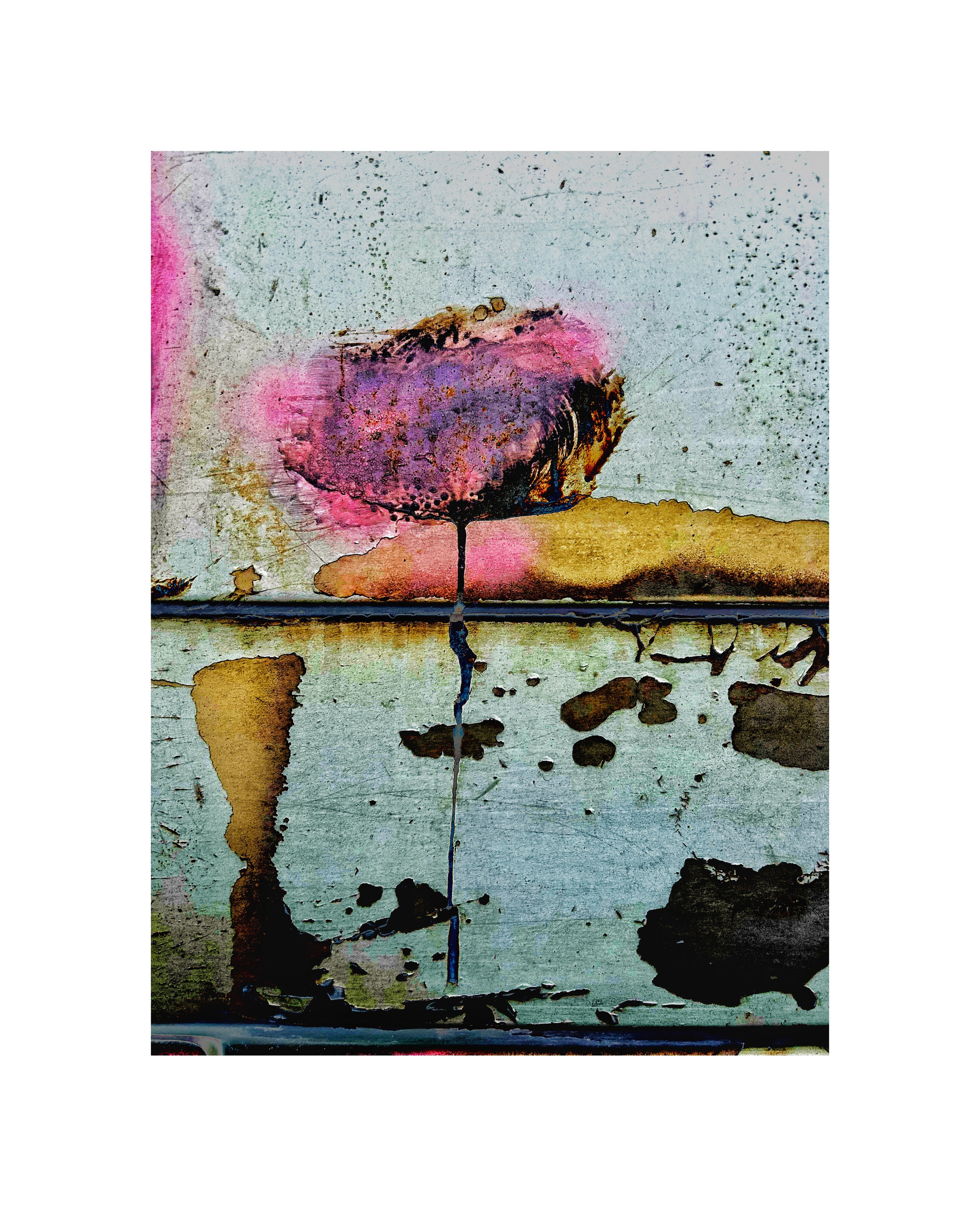 «Вижу». Ольга Пилант. АРТ, бэкстейдж, свадебная и семейная фотография, городской портрет, интерьерная фотография