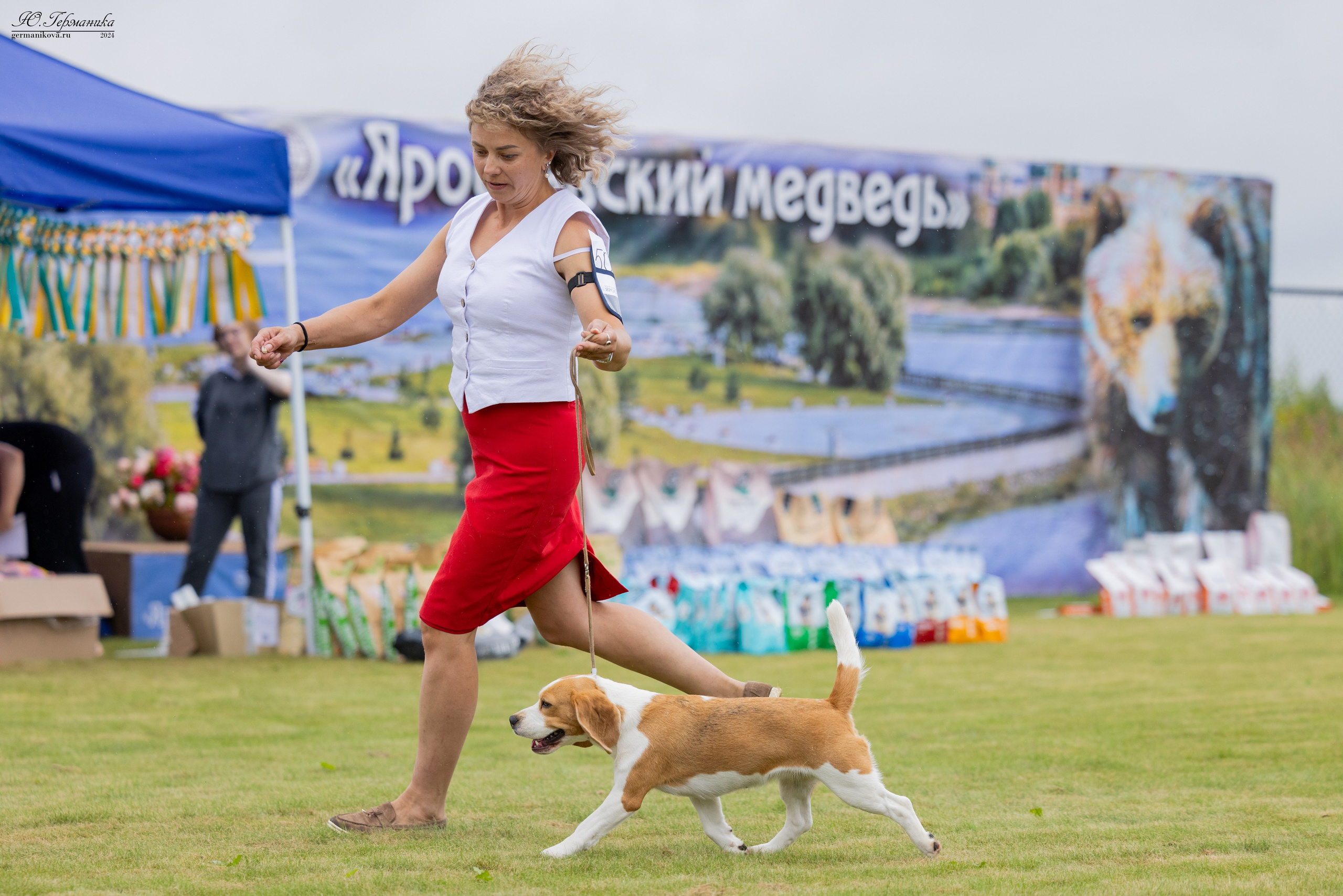 Ярославль 21.07.24 и Балашиха 13.07.24. Фотограф-анималист Юлия Германика