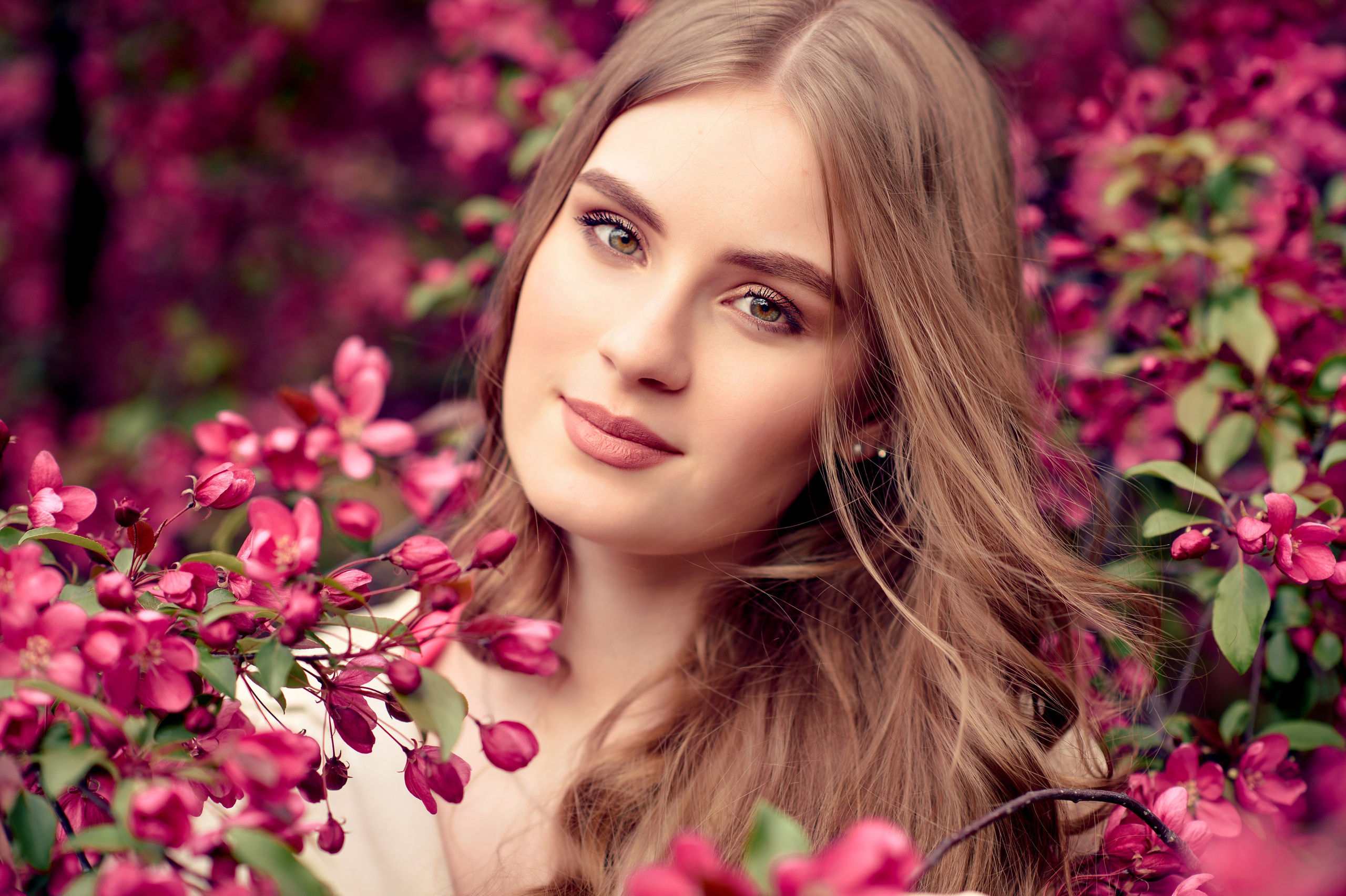 розовое цветение