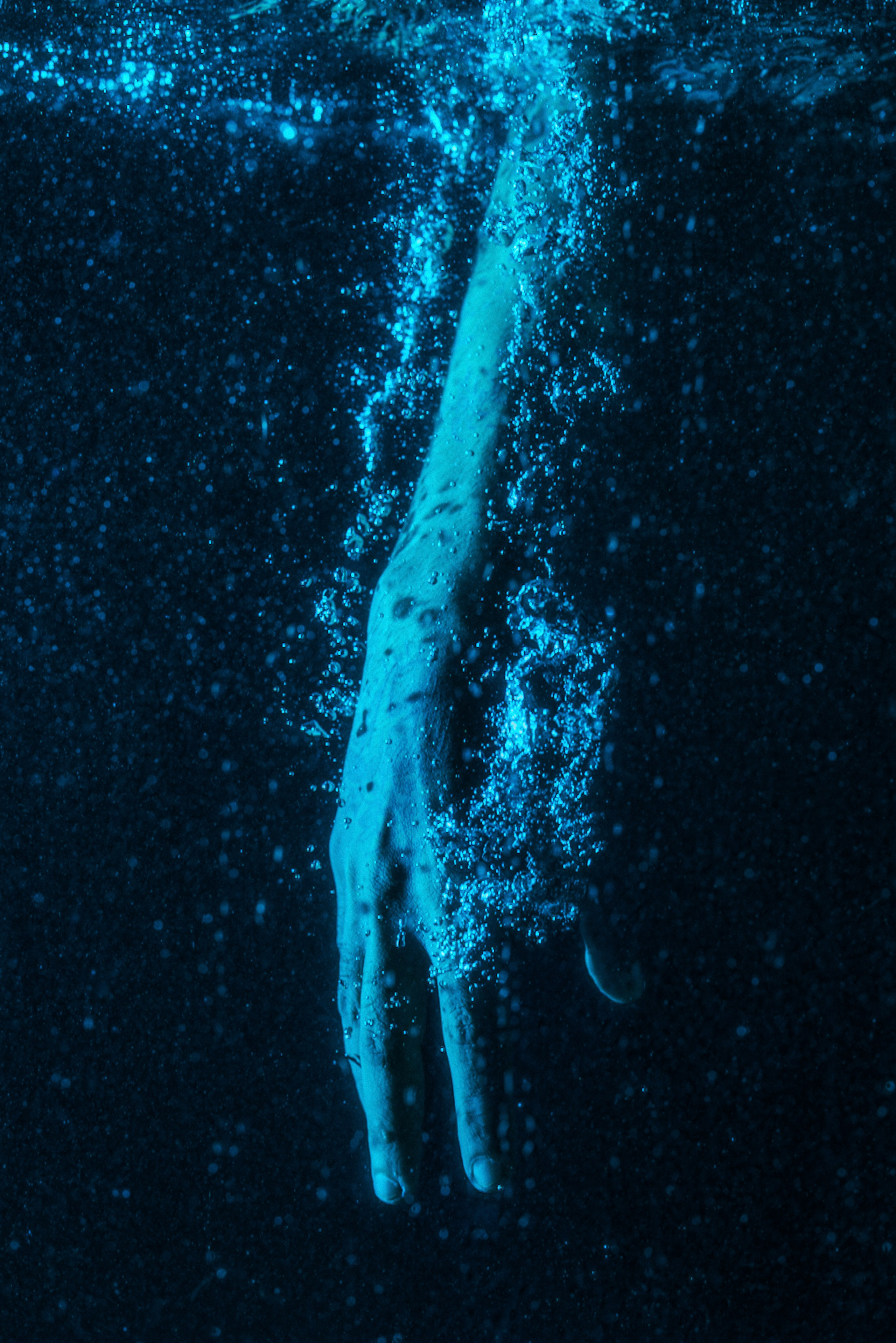 Bush. Владимир Рудченко — Фотограф из Казани