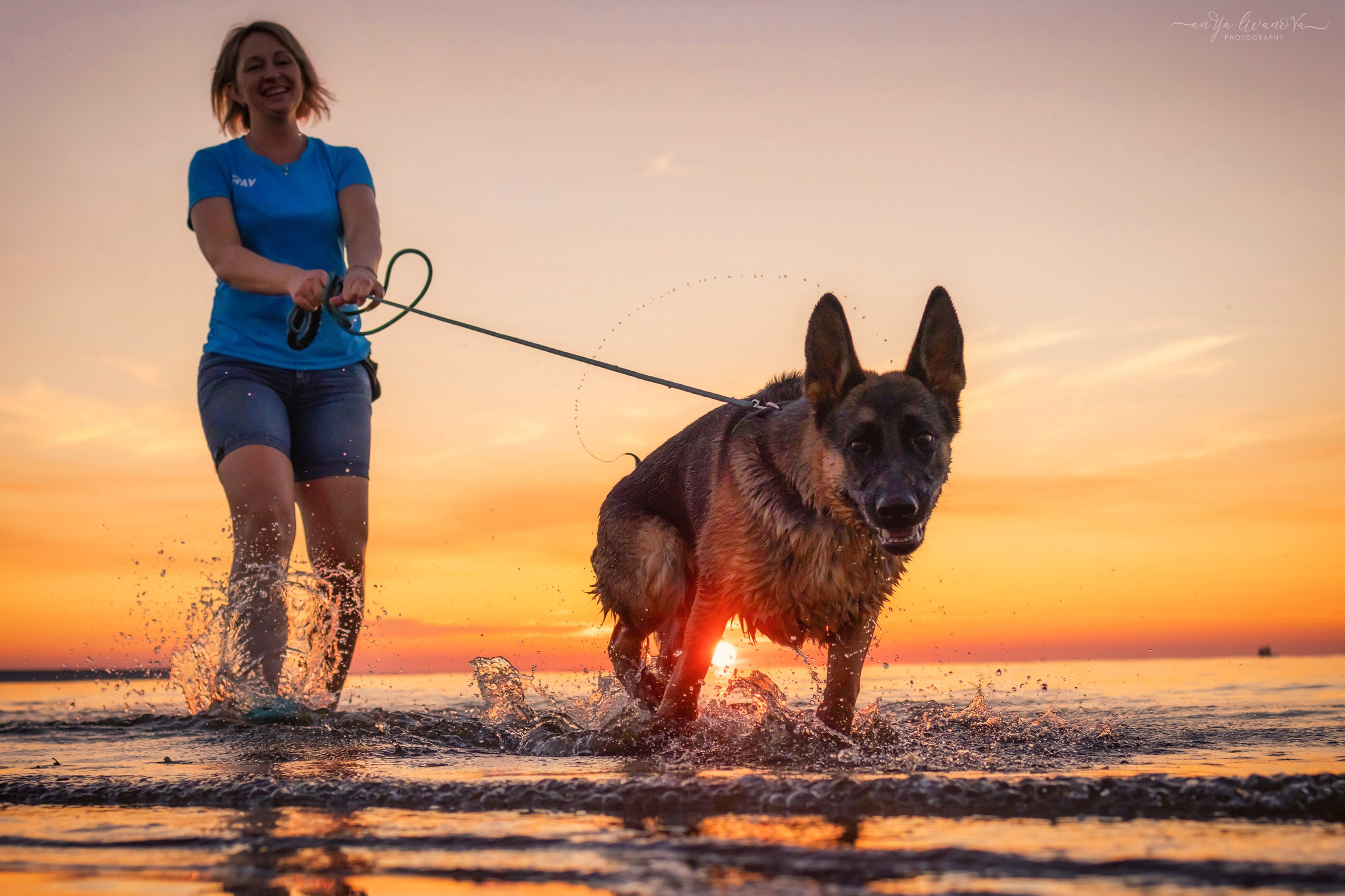 Прайд на море. Фотограф анималист Аня Ливанова | Рыбинск