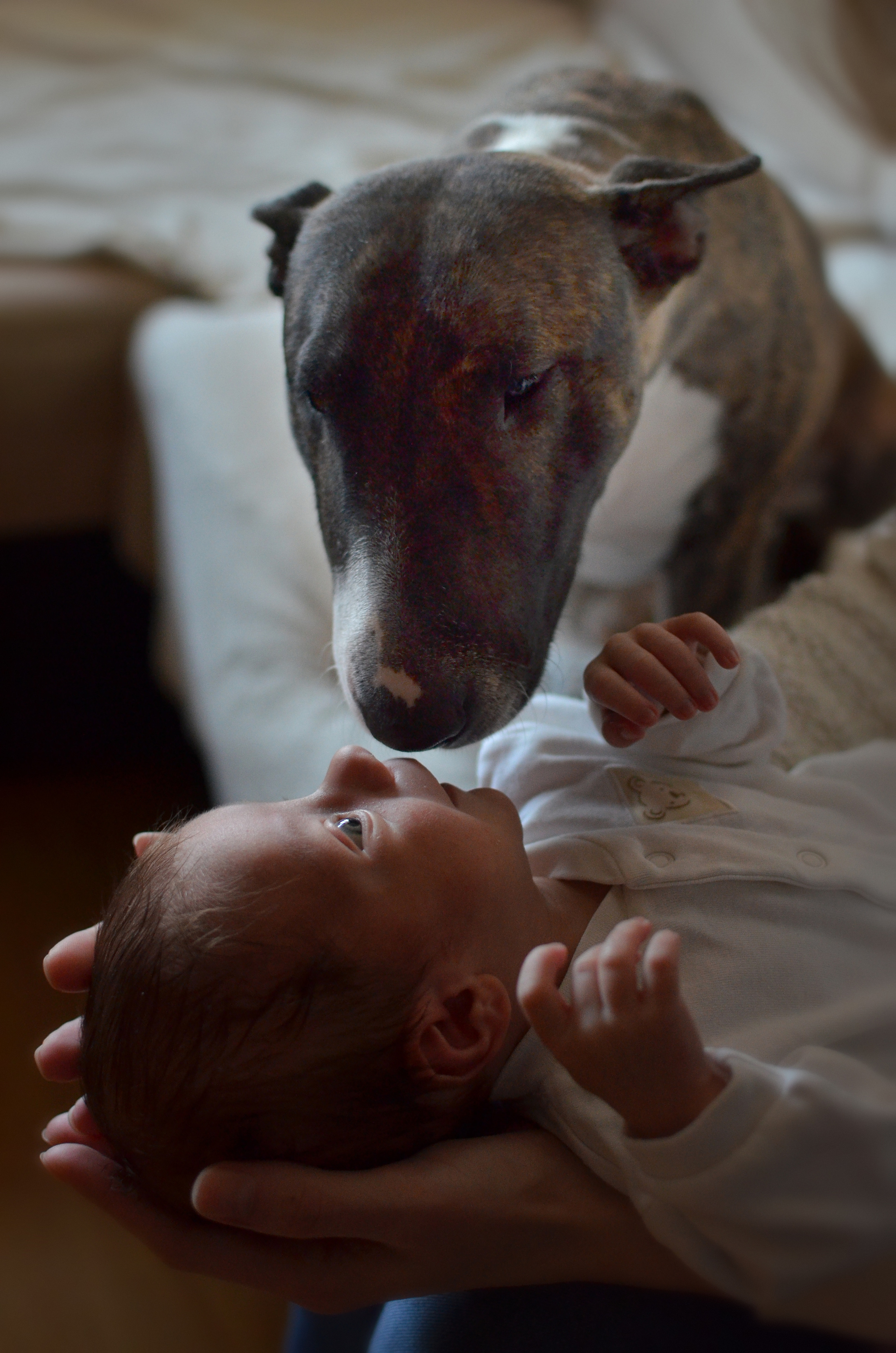 Домашние съемки с малышами. Семейный и детский фотограф в Санкт-Петербурге Баландина Татьяна
