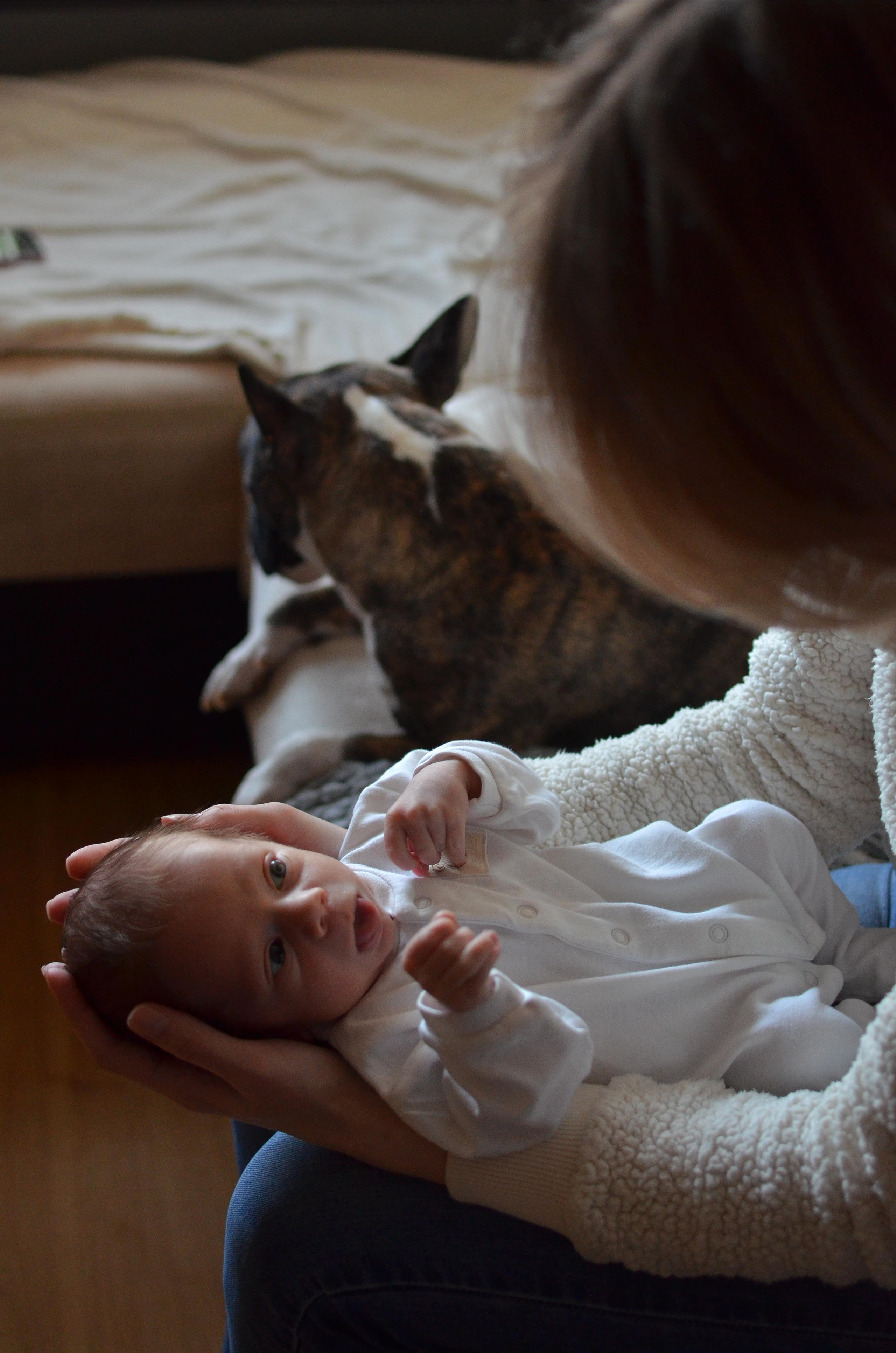 Домашняя фотосессия с Пашей. Семейный и детский фотограф в Санкт-Петербурге Баландина Татьяна