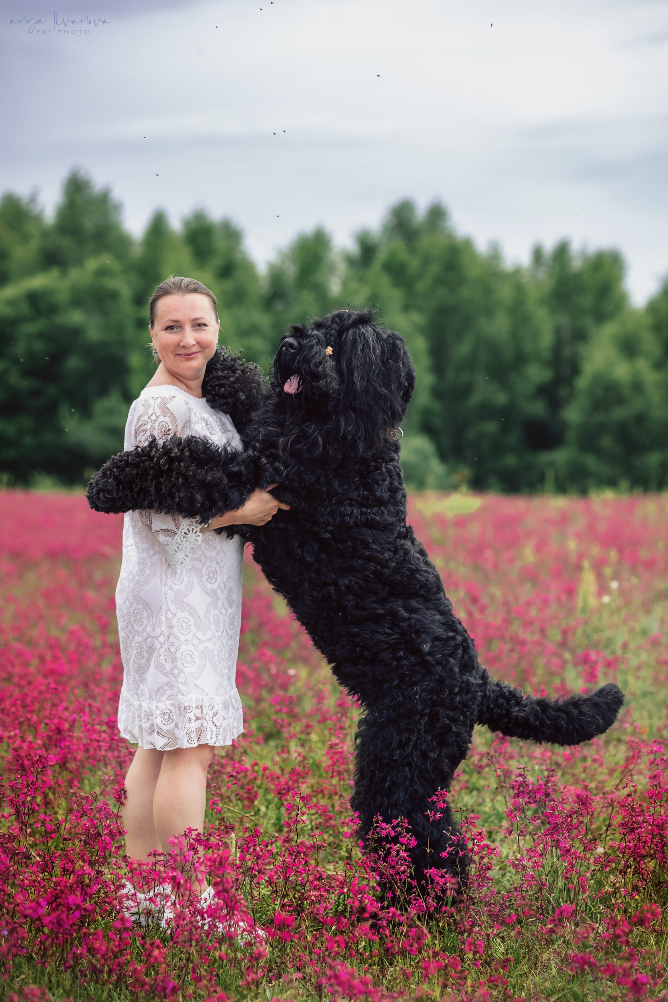 Смолка клейкая. Фотограф анималист Аня Ливанова | Рыбинск