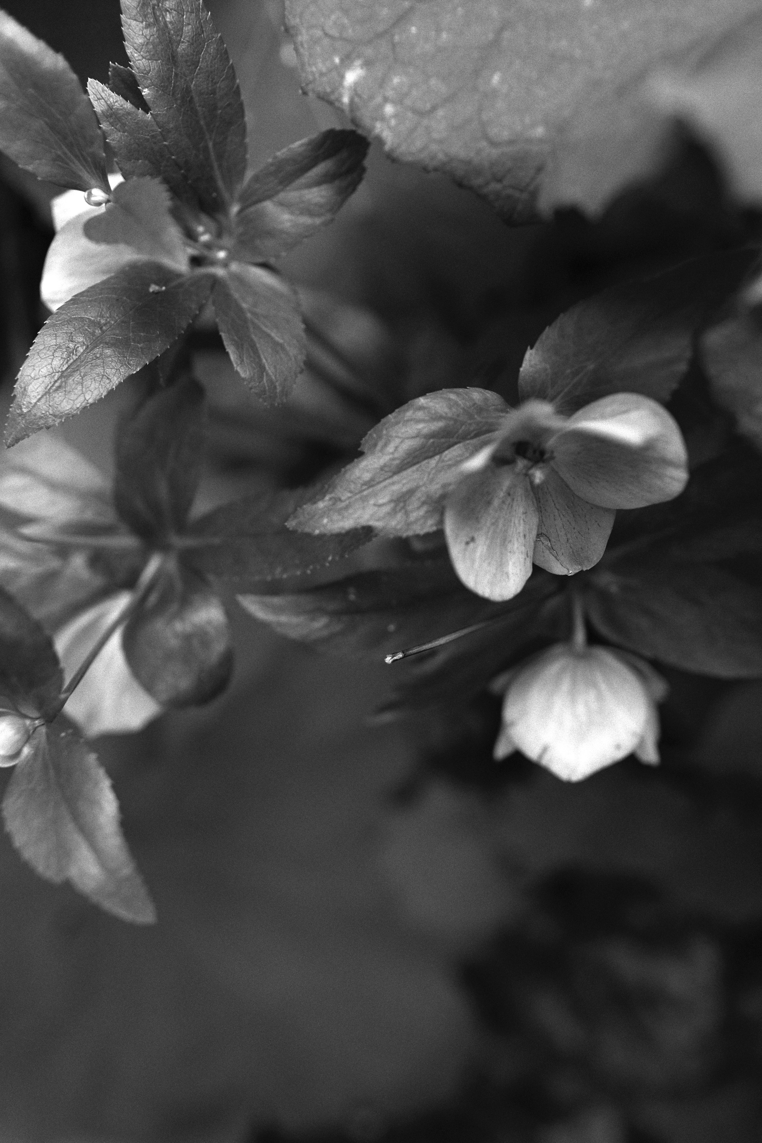 Портретный фотограф в г. Новосибирске