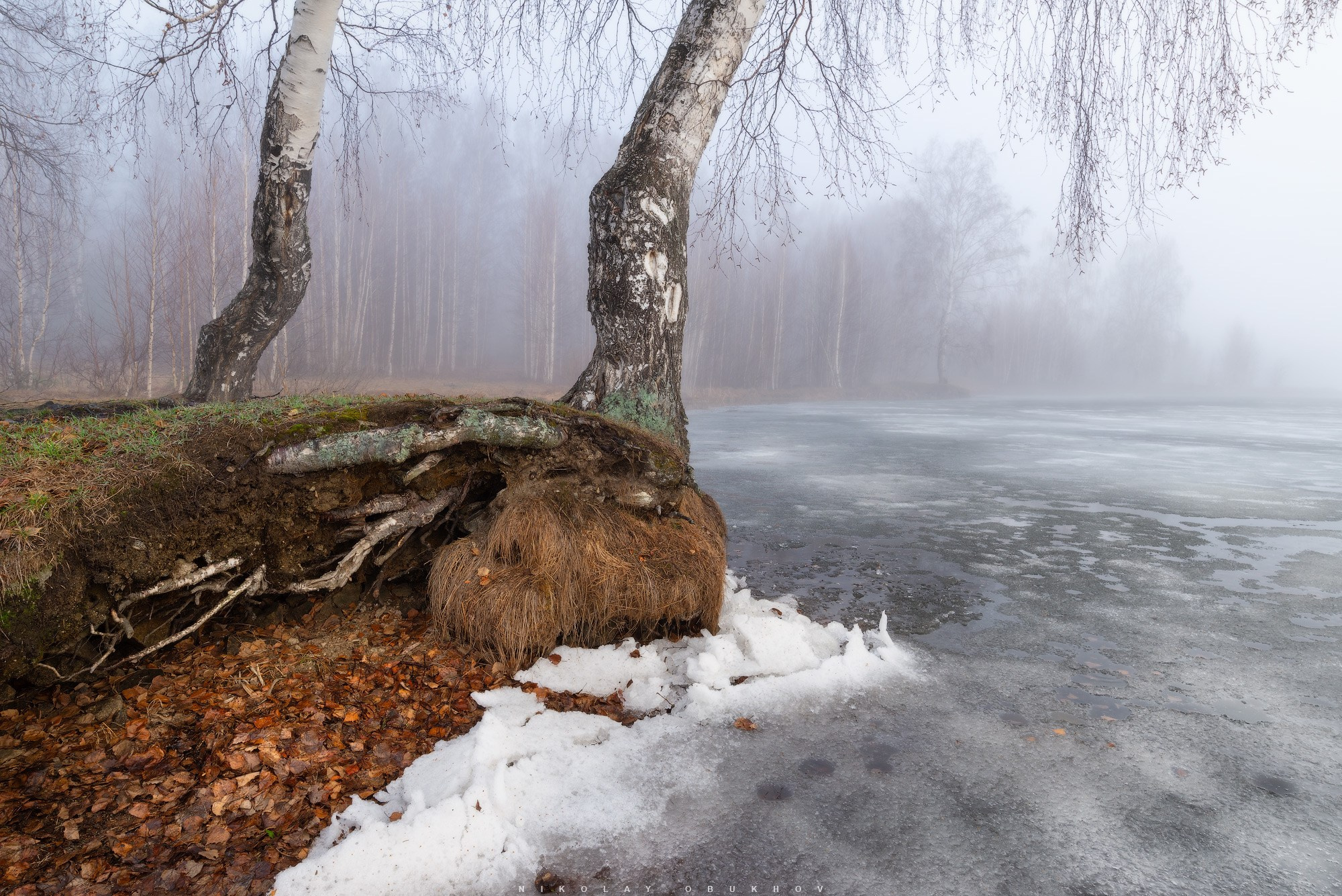 Весенний туманный пейзаж на Черноисточинском пруду, берег окружен березами, последний рыхлый лед почти растаял.