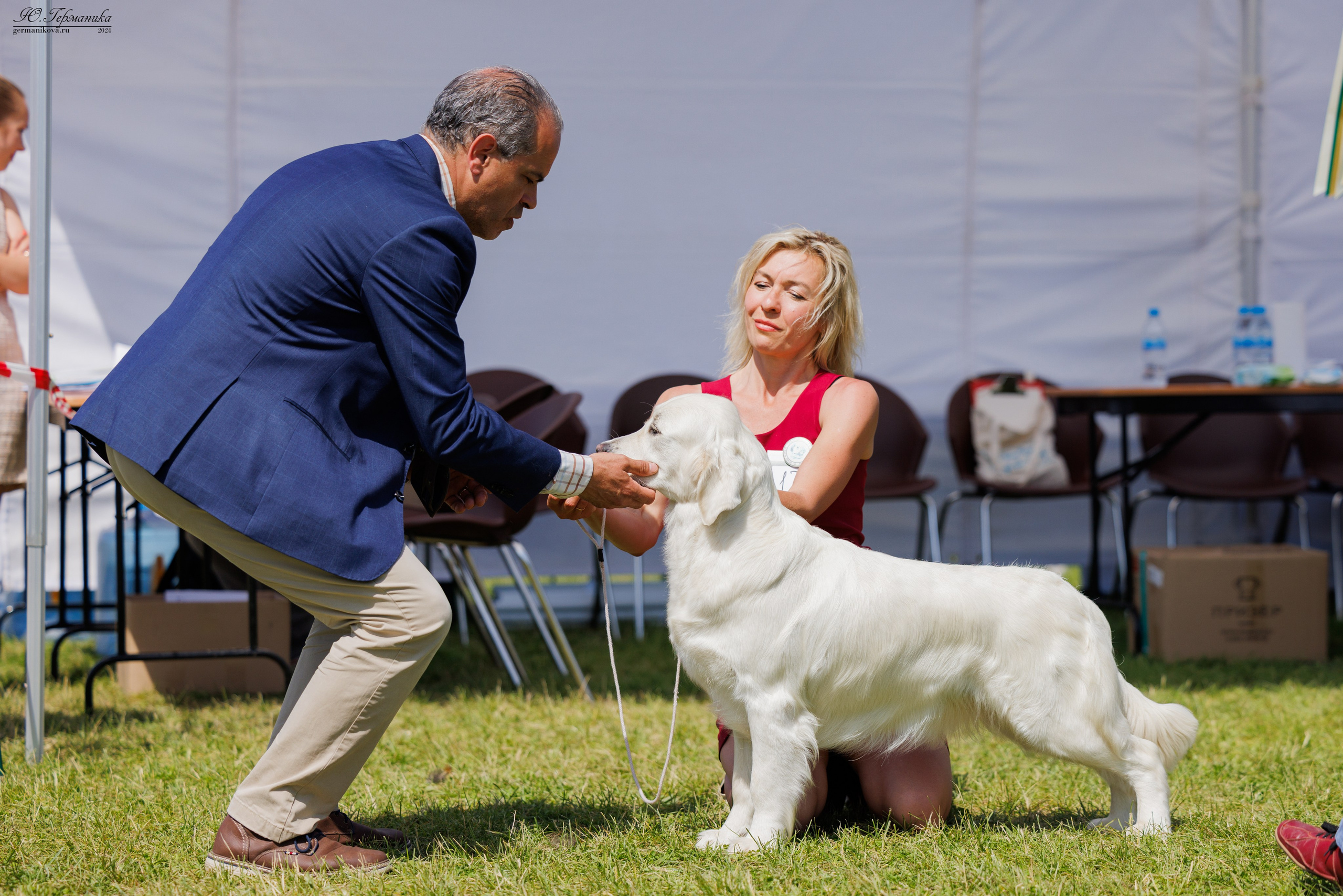 Голдены 15-16.06.2024. Фотограф-анималист Юлия Германика