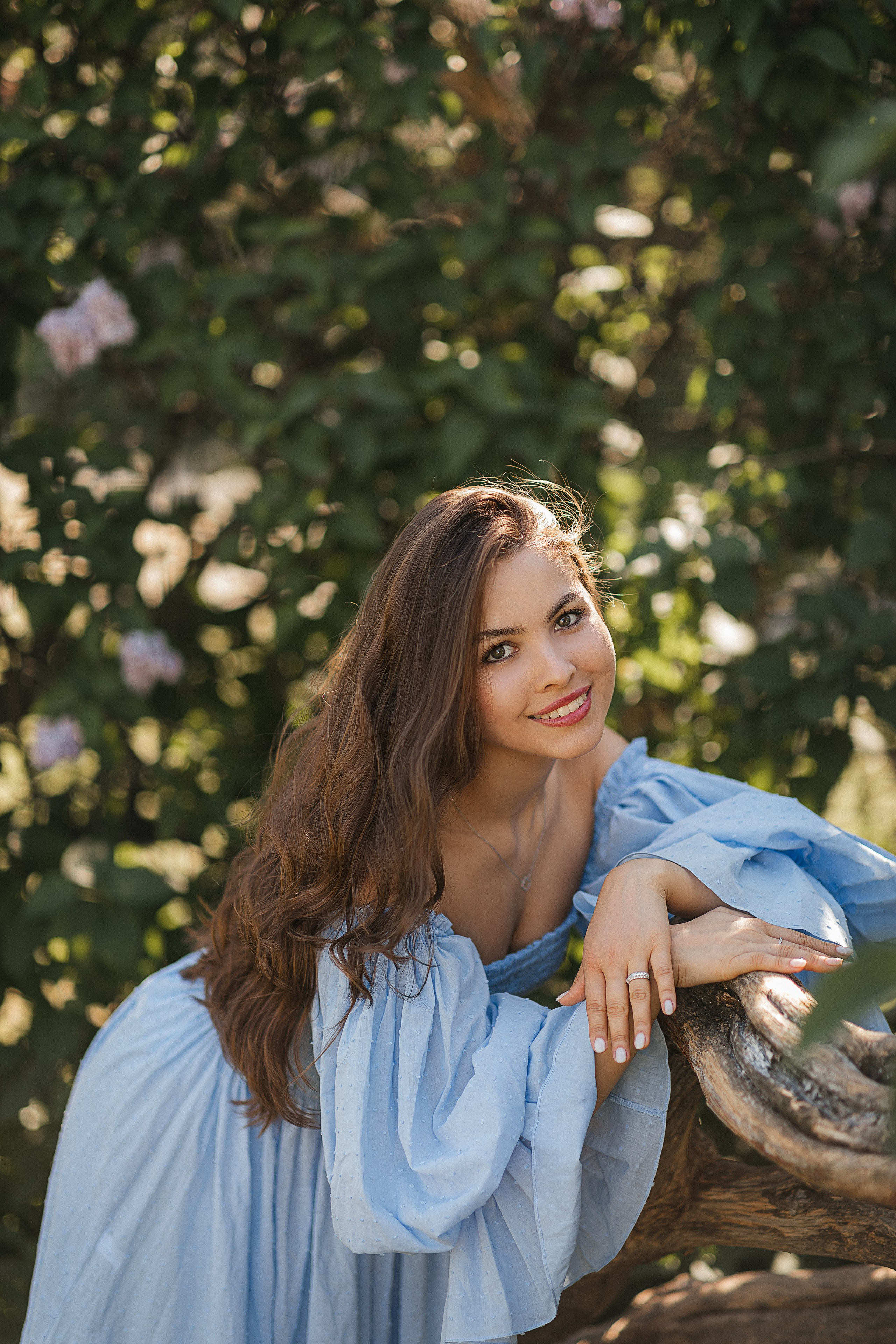 Сирень Азиза. Фотограф Москва