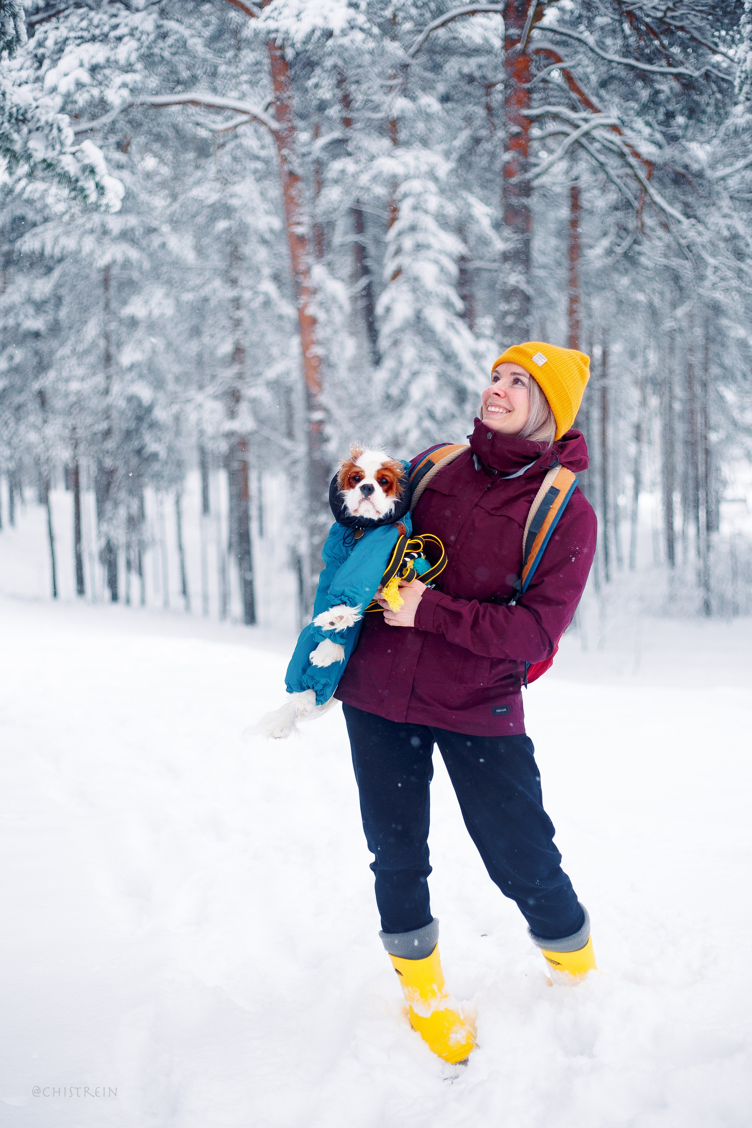 Внезапно апрельская зима. Фотограф-анималист Наталия Чистюхина в г. Сосновый Бор и ЛО