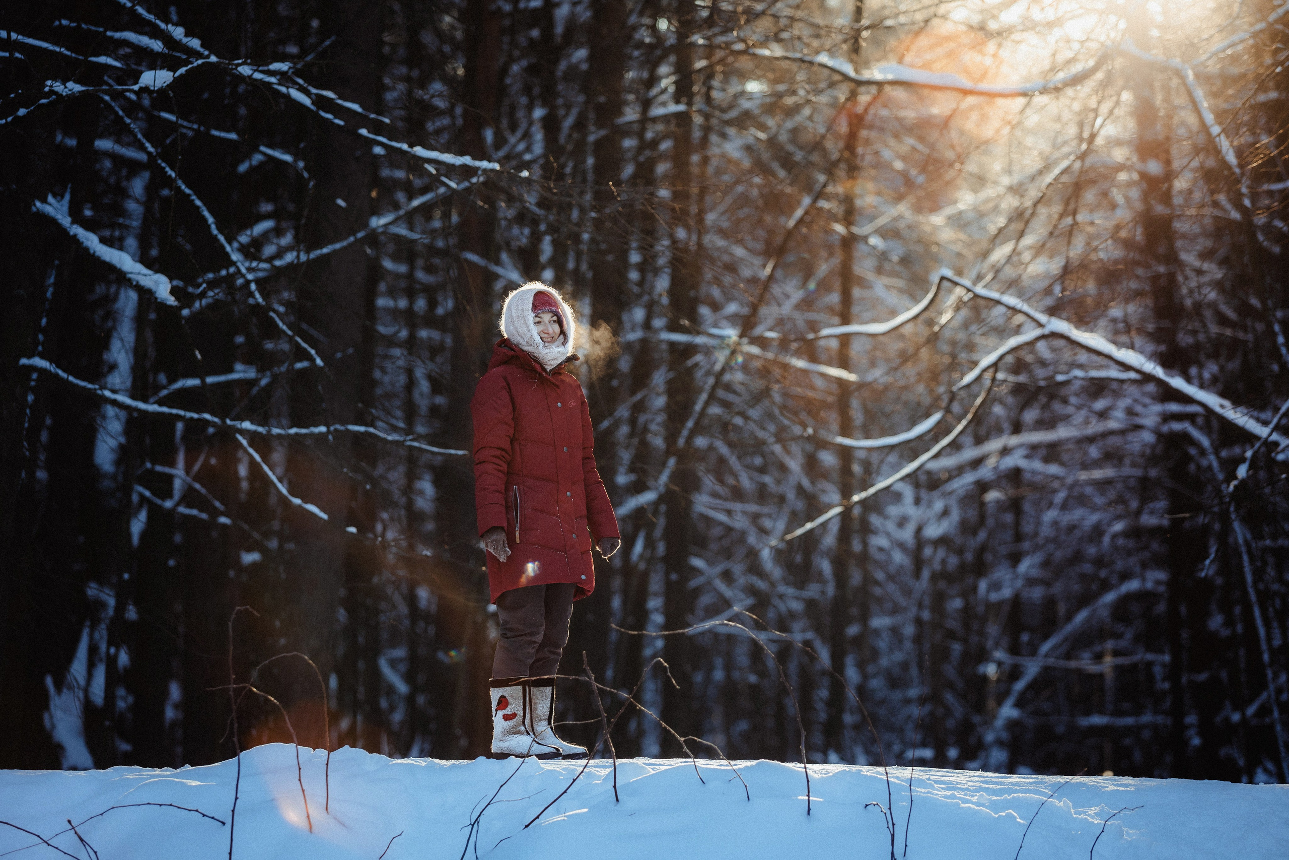 Шед, Цири и Ира