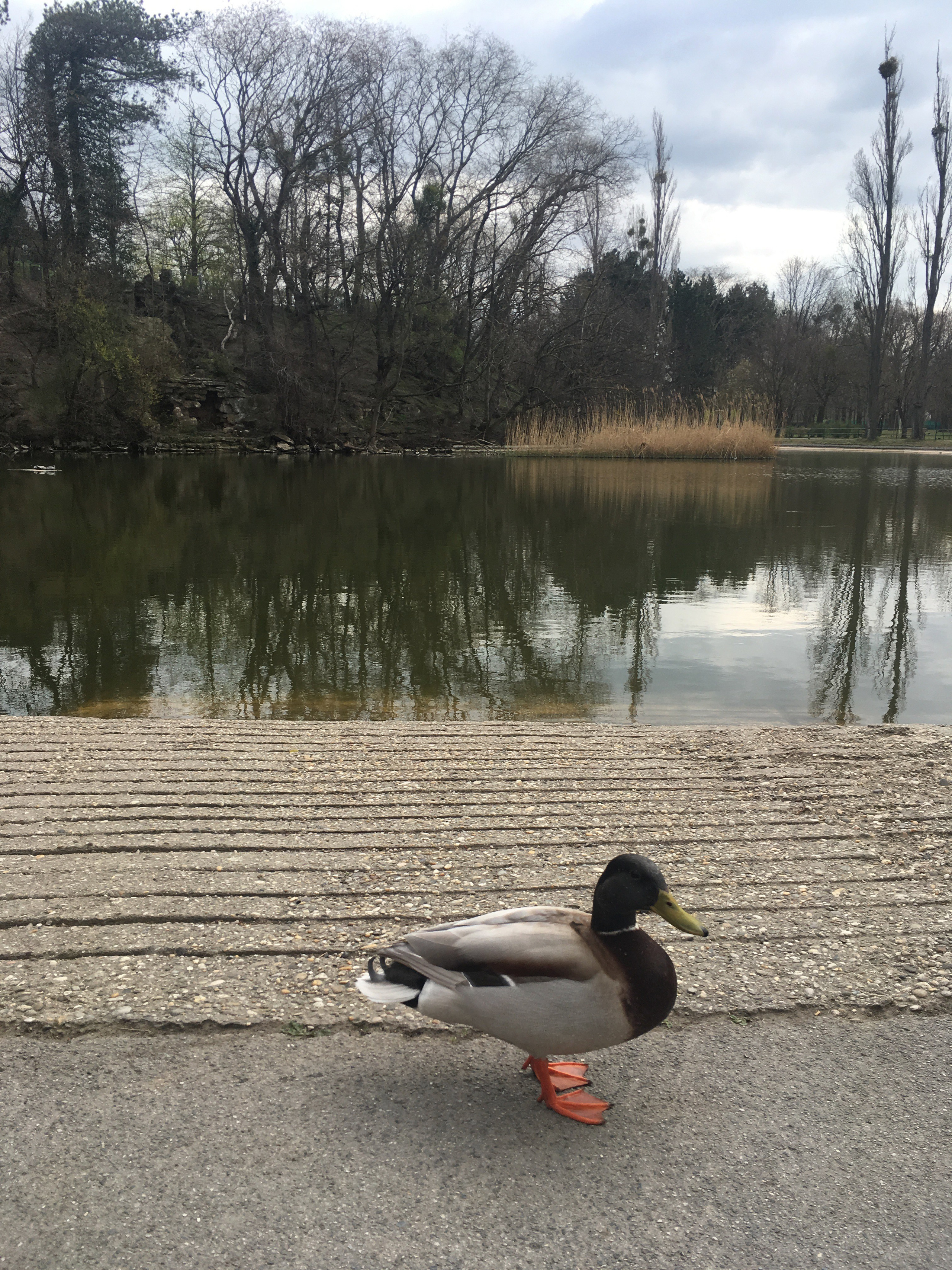 Вена — 19. Своя Мастерская