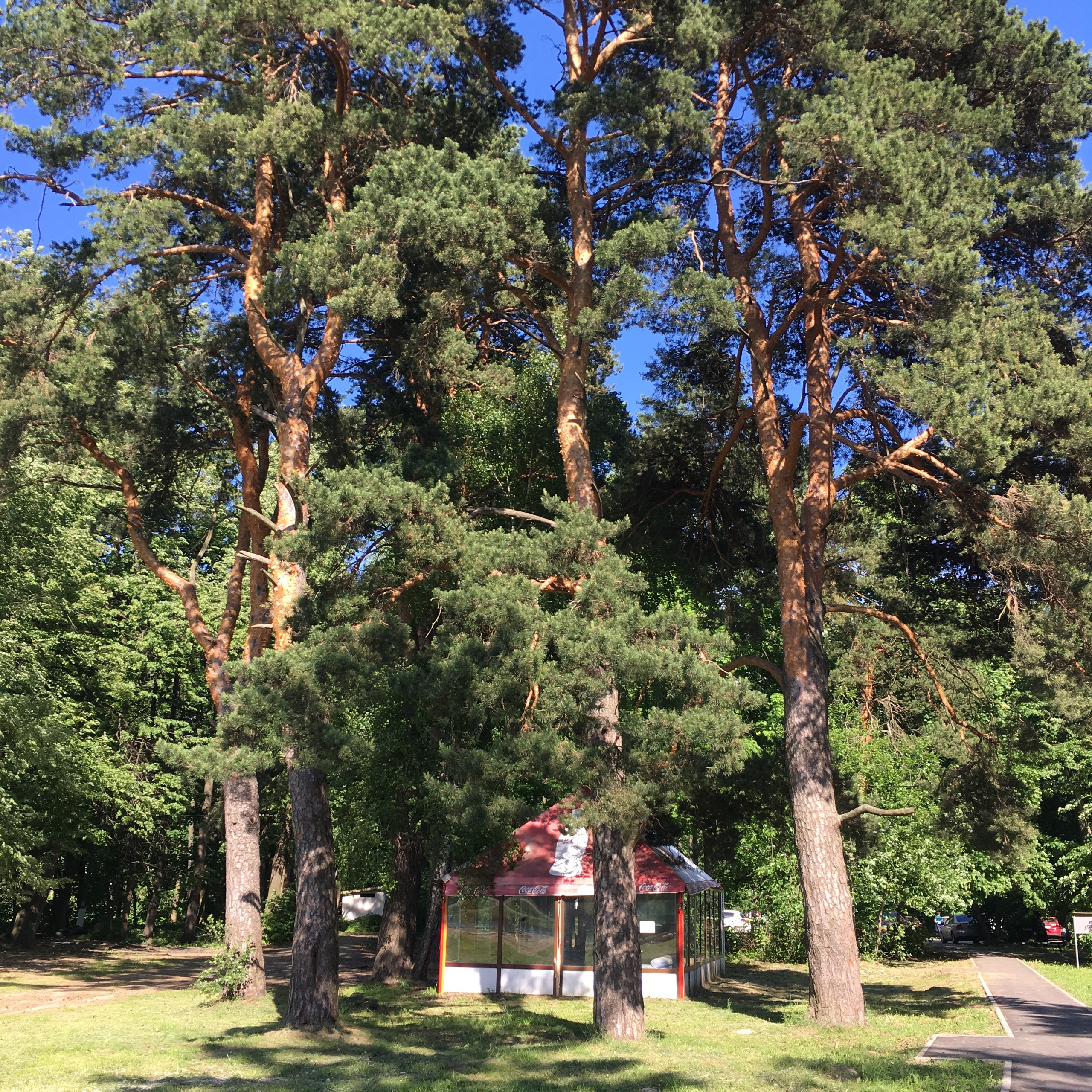 Львовская -18. Своя Мастерская