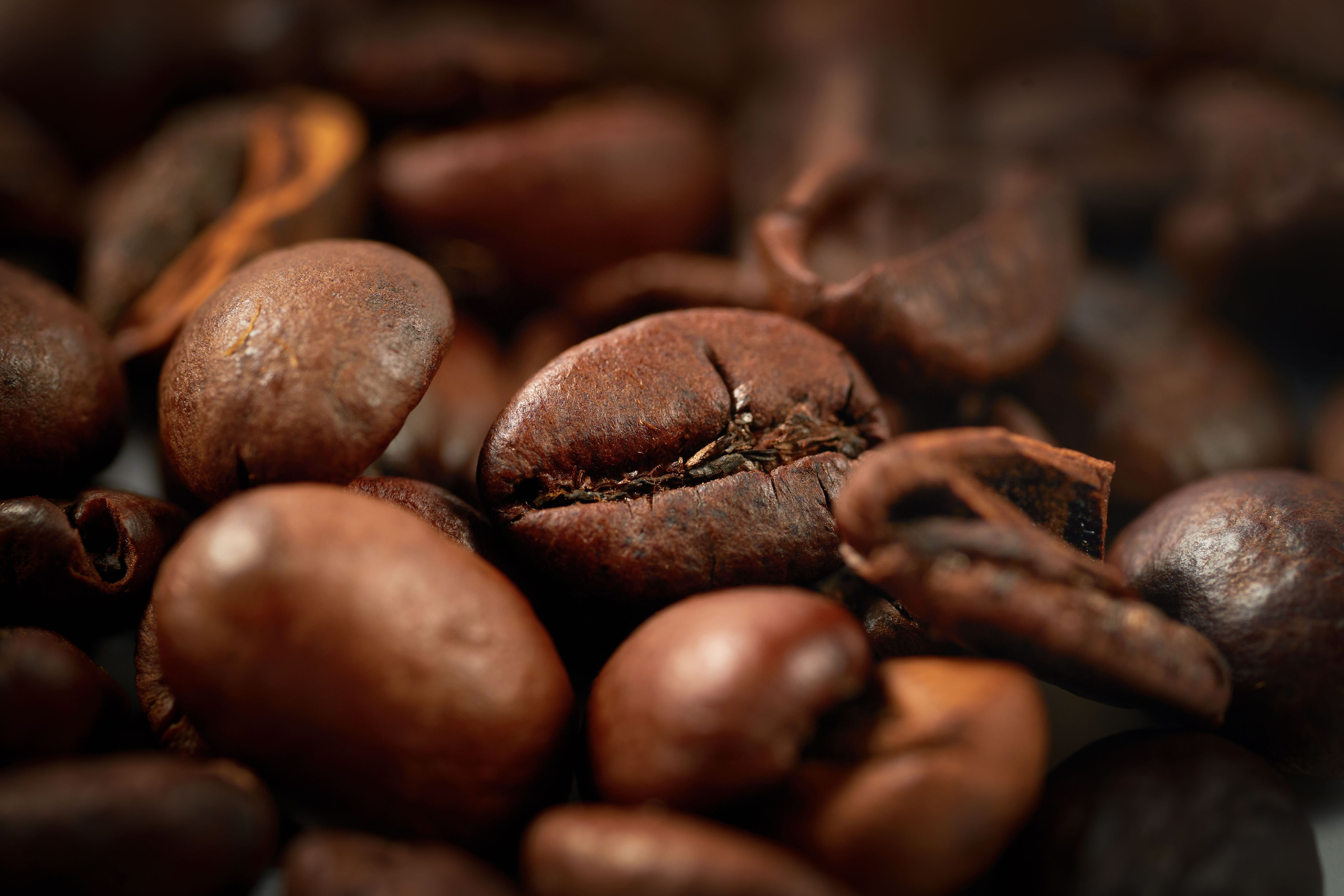 Food Filming. Pavel Stepanov photo, video, drone filming