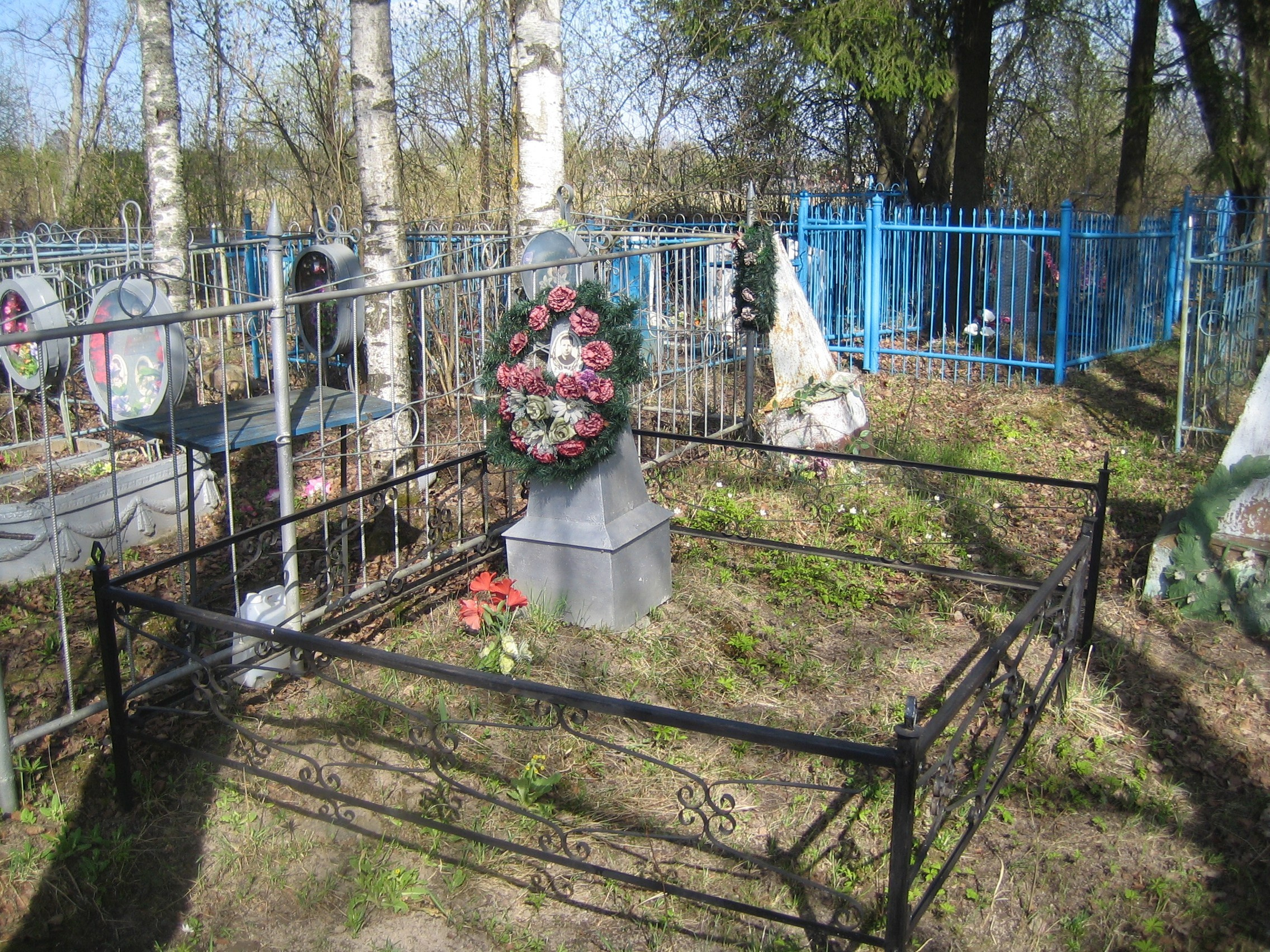 Общий вид захоронения. История Назиевского городского поселения