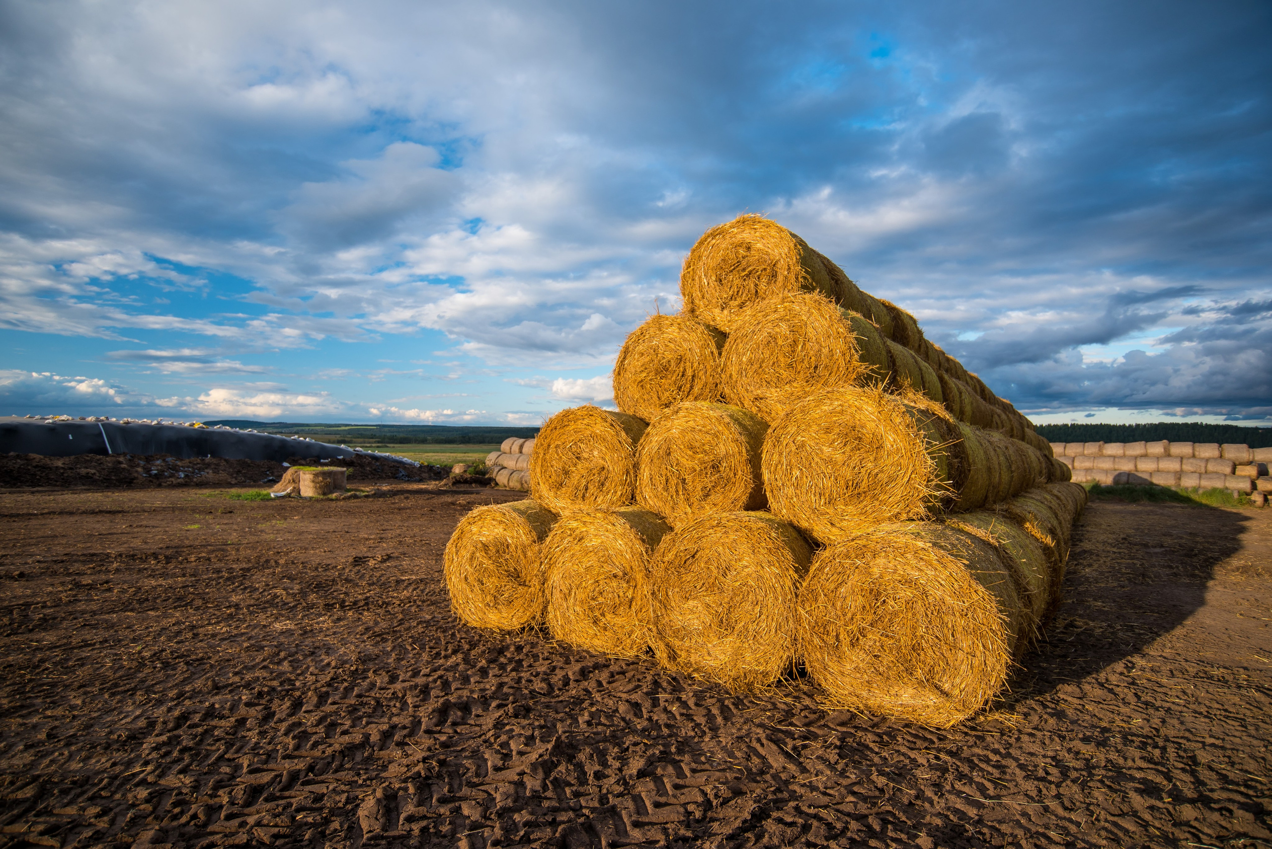 Пейзажи. Репортажный фотограф в Ижевске Константин Ившин