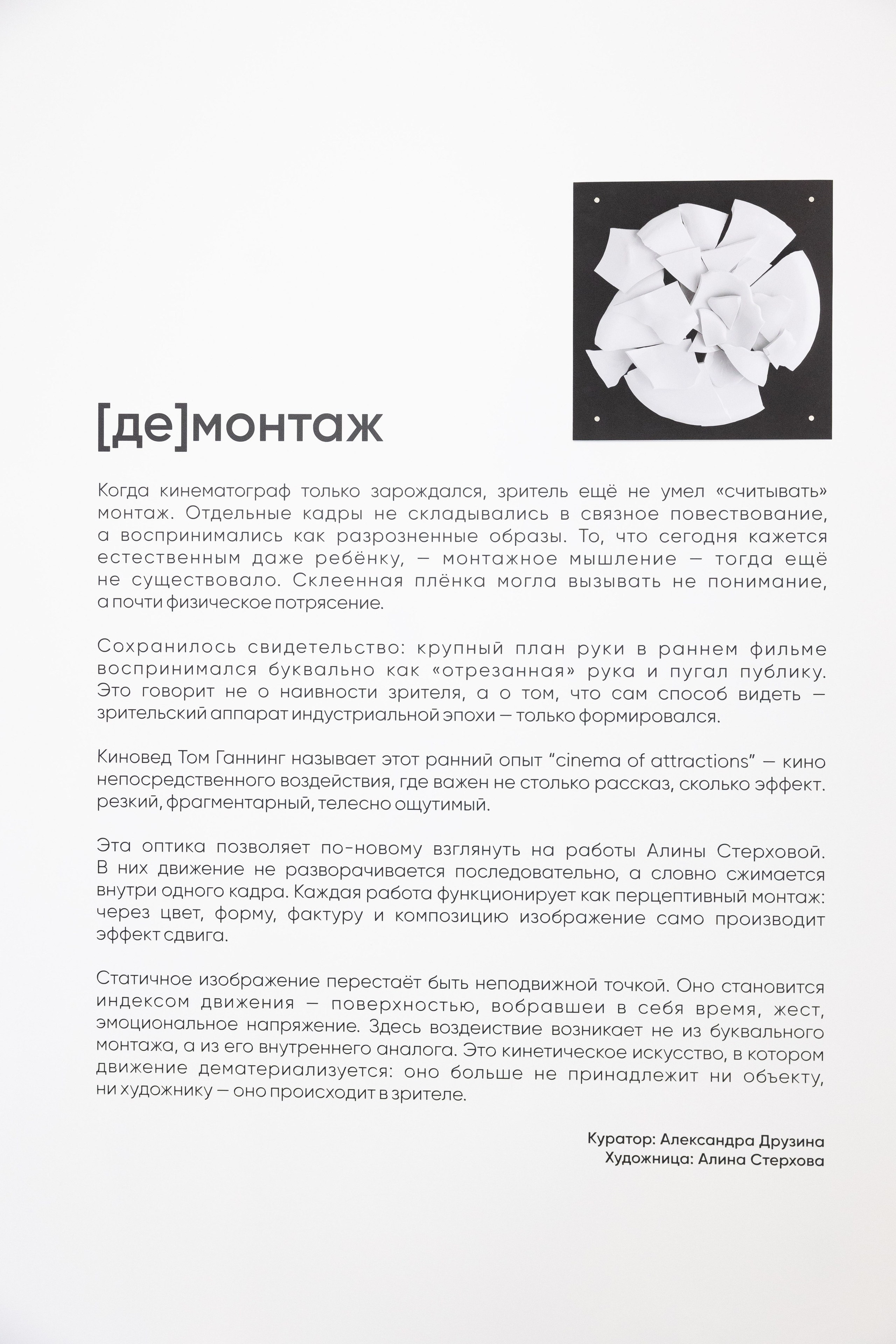 [Де]монтаж, галерея Whitearch, 2026. Фотограф алина стерхова, алина стерхова фотограф, фотограф москва