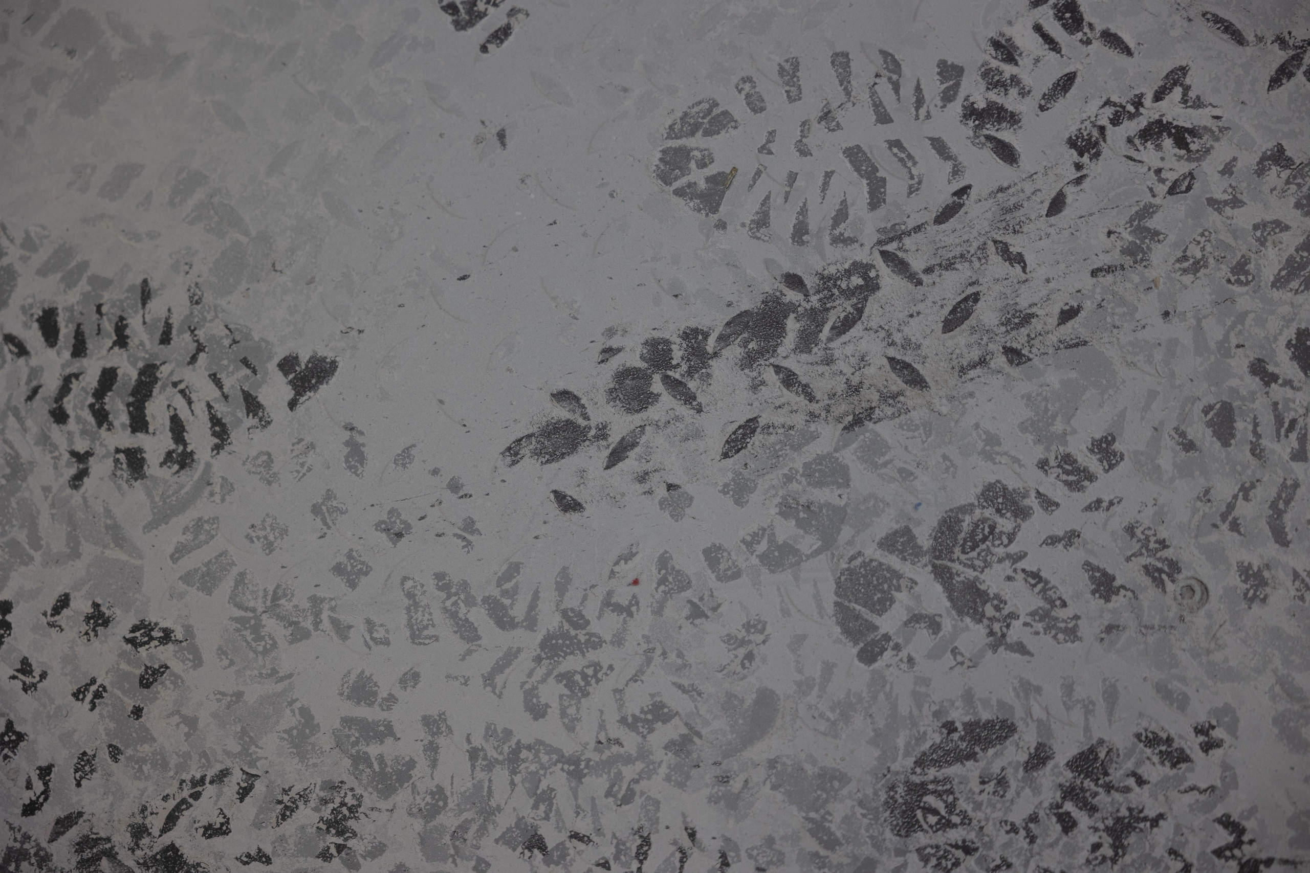 Источник | The source. Фотограф алина стерхова, алина стерхова фотограф, фотограф москва