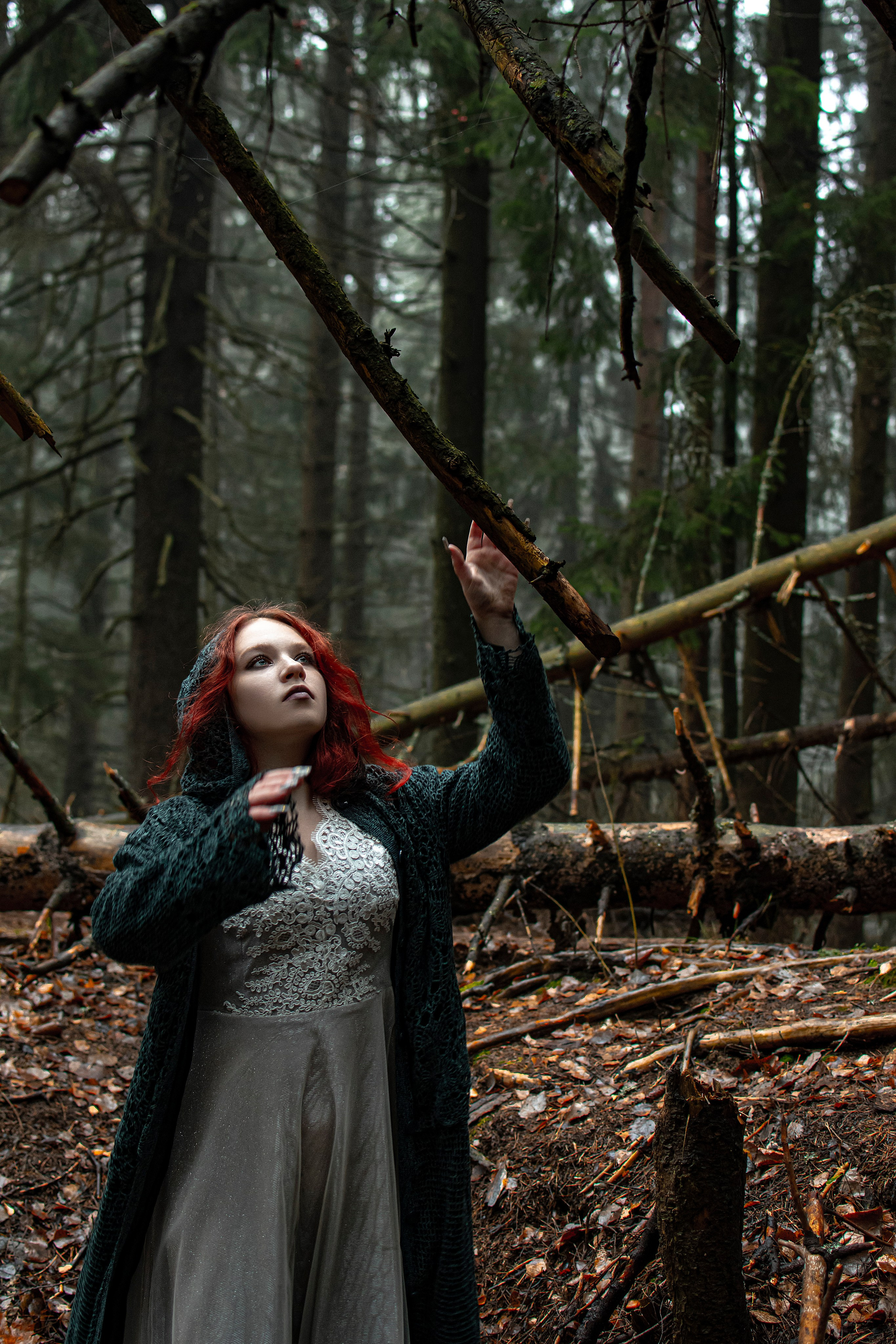 Прекрасная ведьма в диком лесу