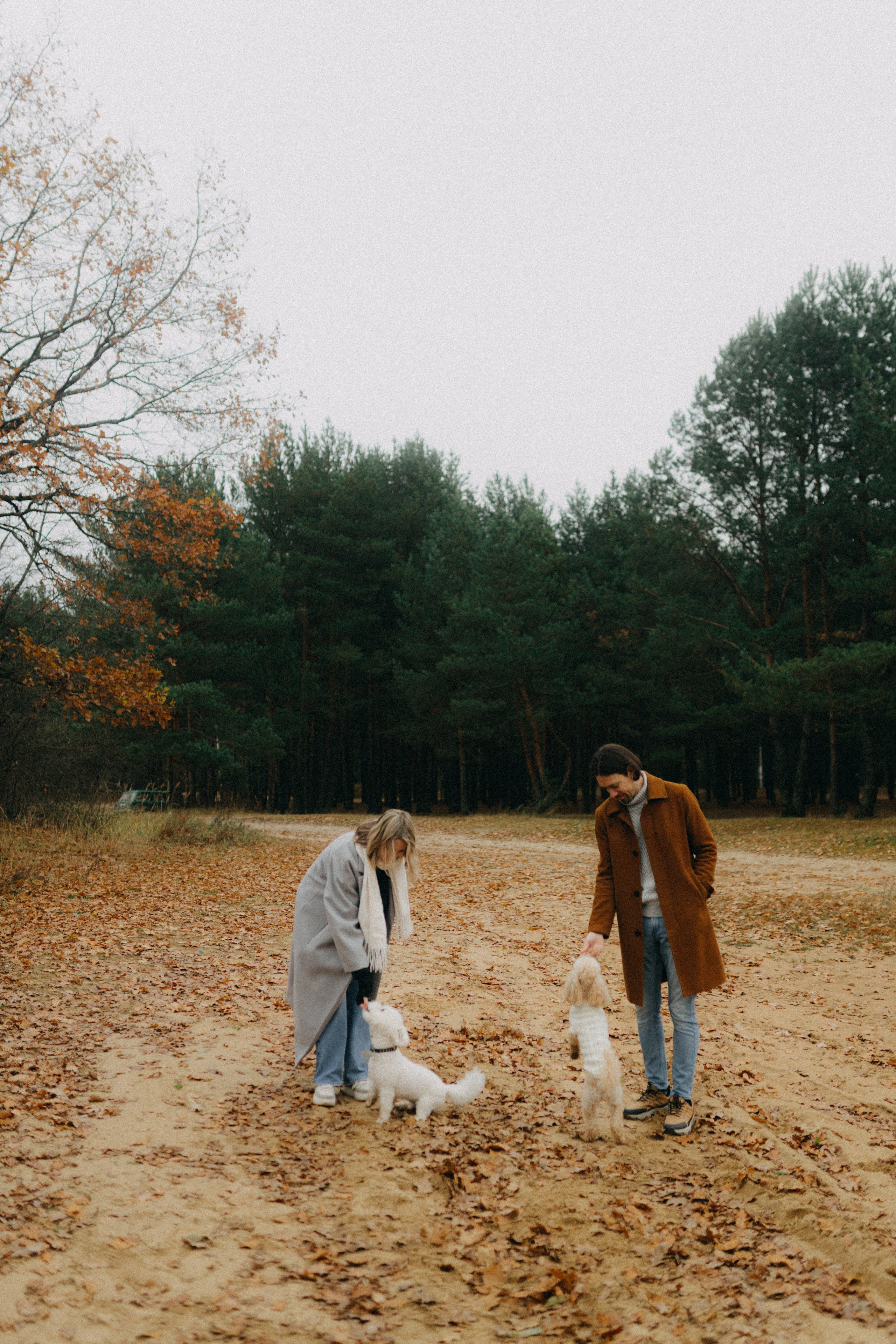 Лена & Миша. Фотограф НОГИНСК, Москва, Анастасия Белая