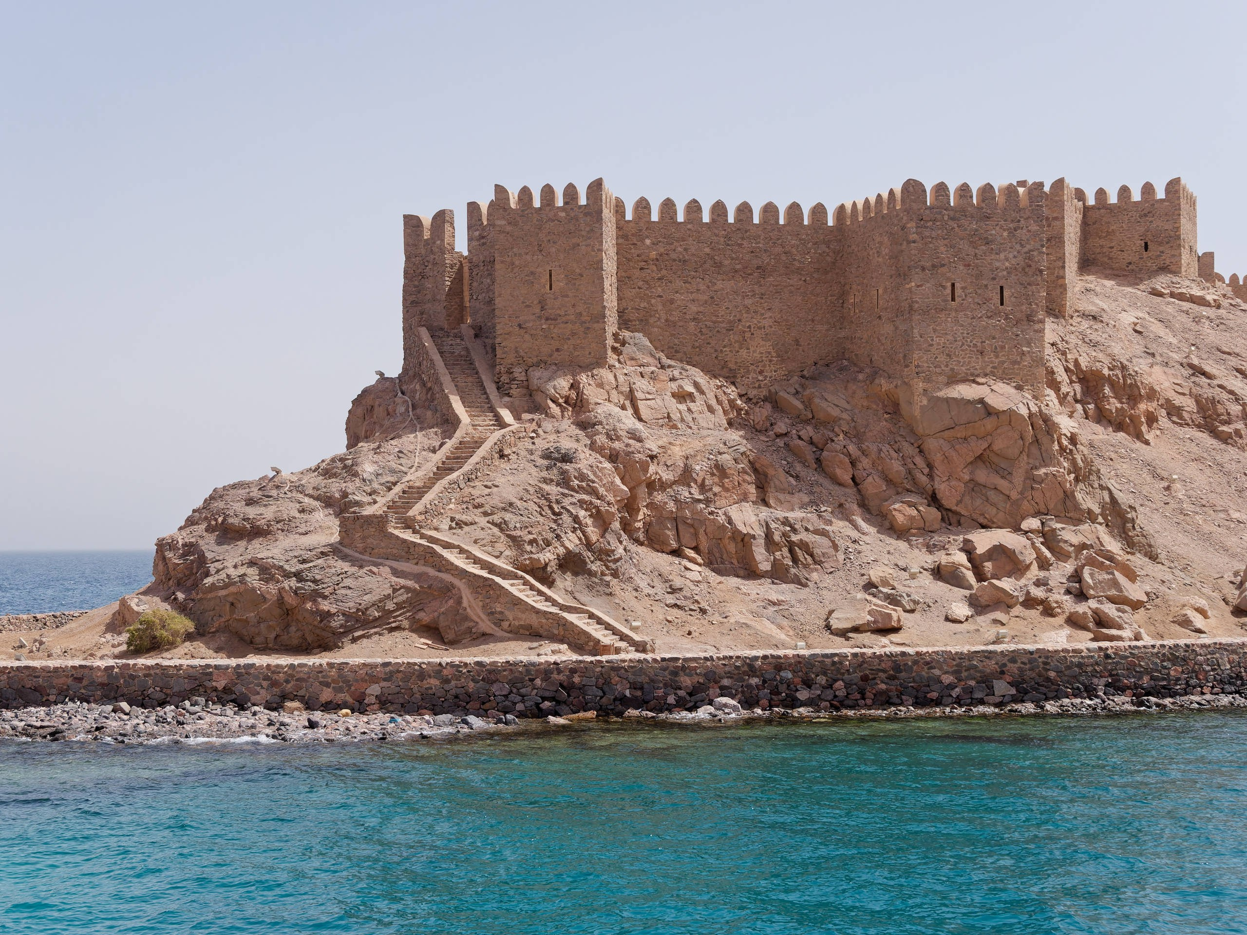 Шарм-эль-Шейх 2022, сафари. Избранные фотографии