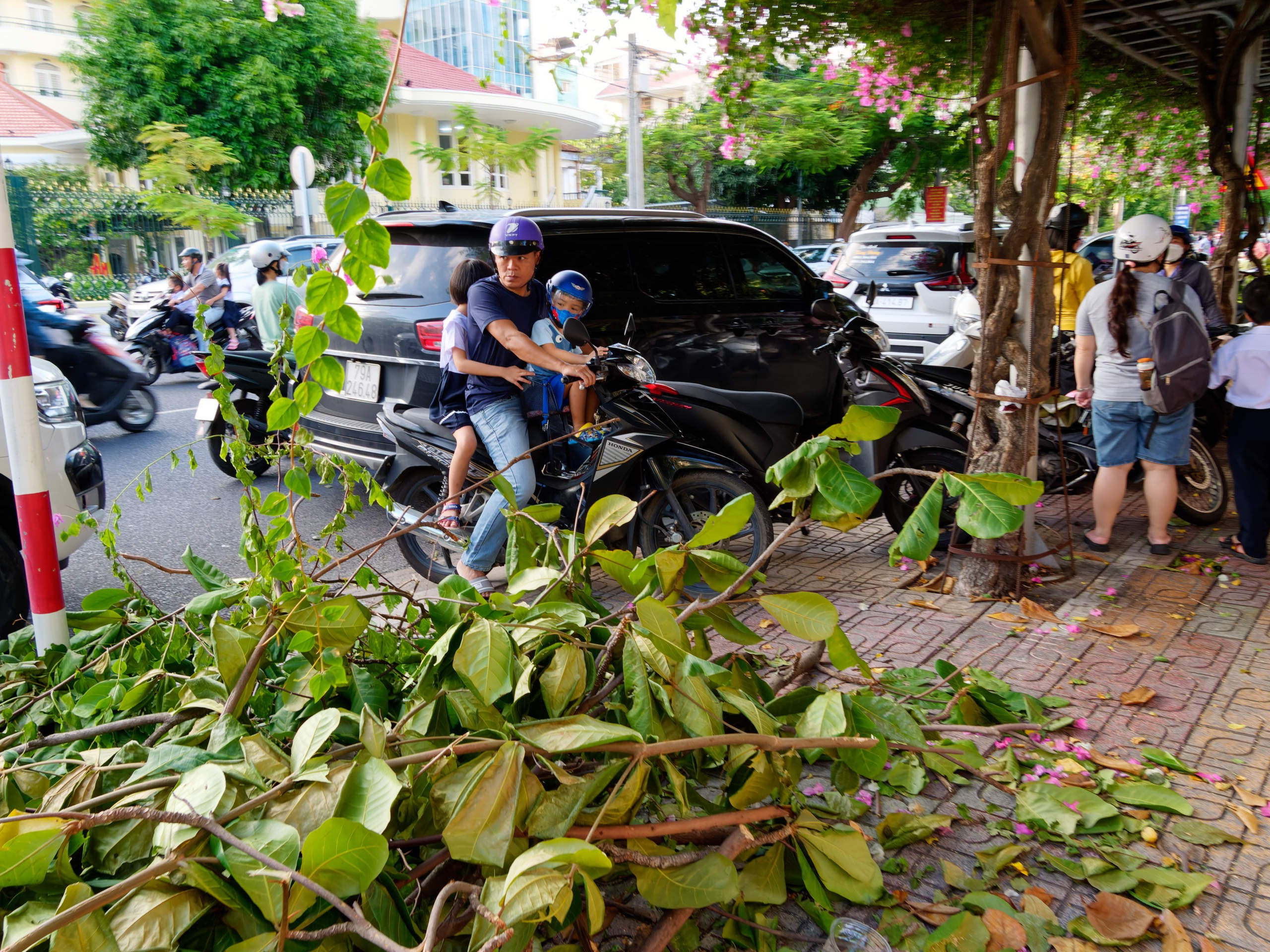 Нячанг 2023. Избранные фотографии