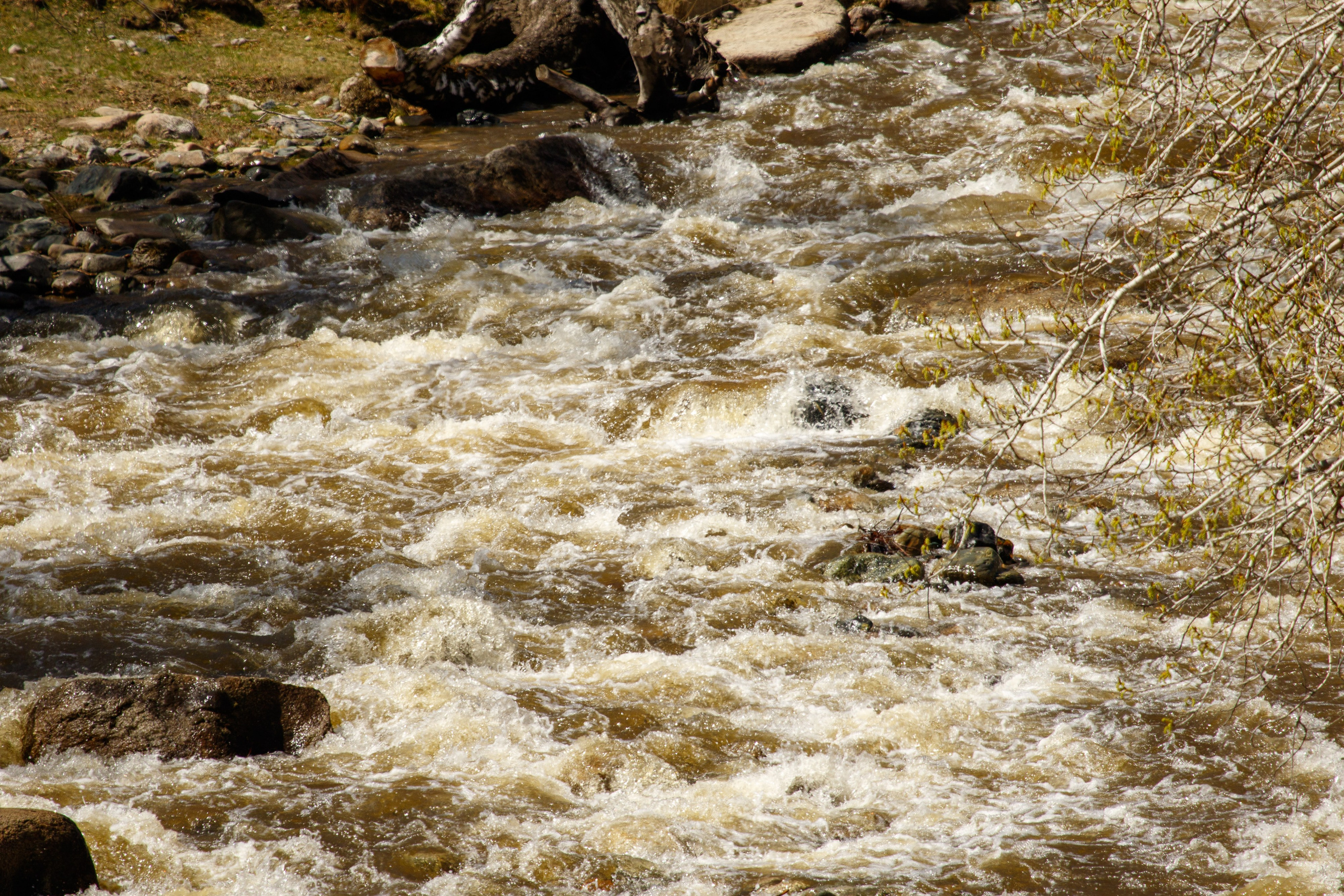 Горный Алтай. Фотограф Кирилл Мешков Кемерово