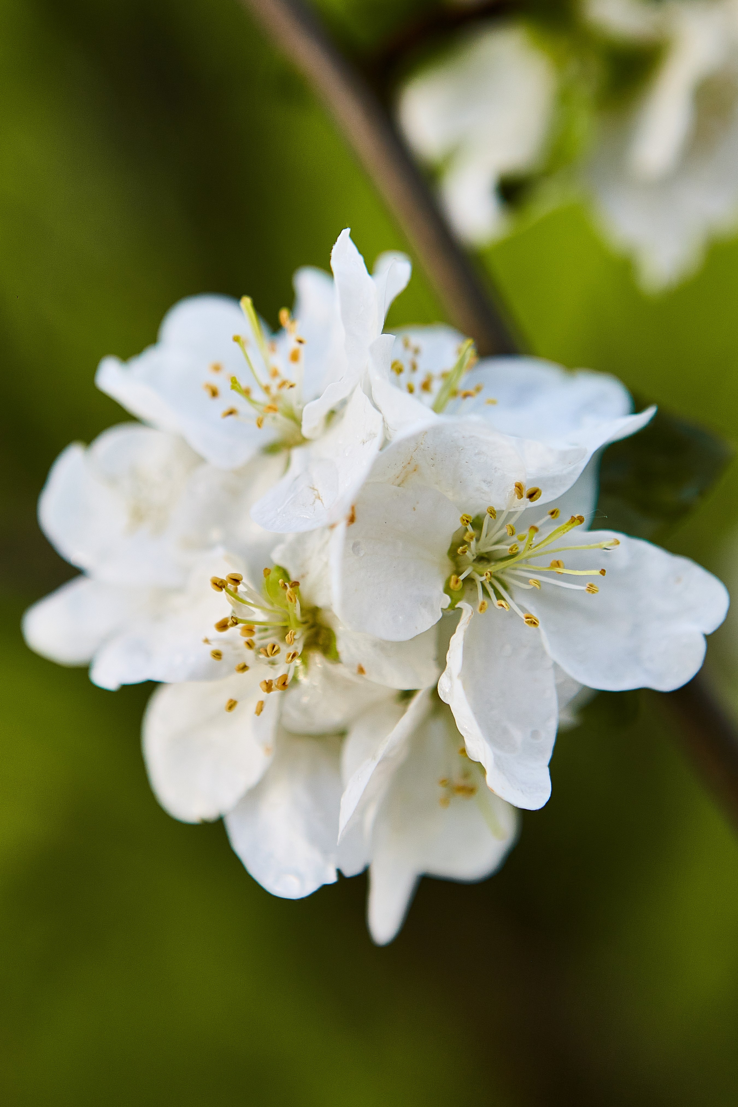 Фотографии природы