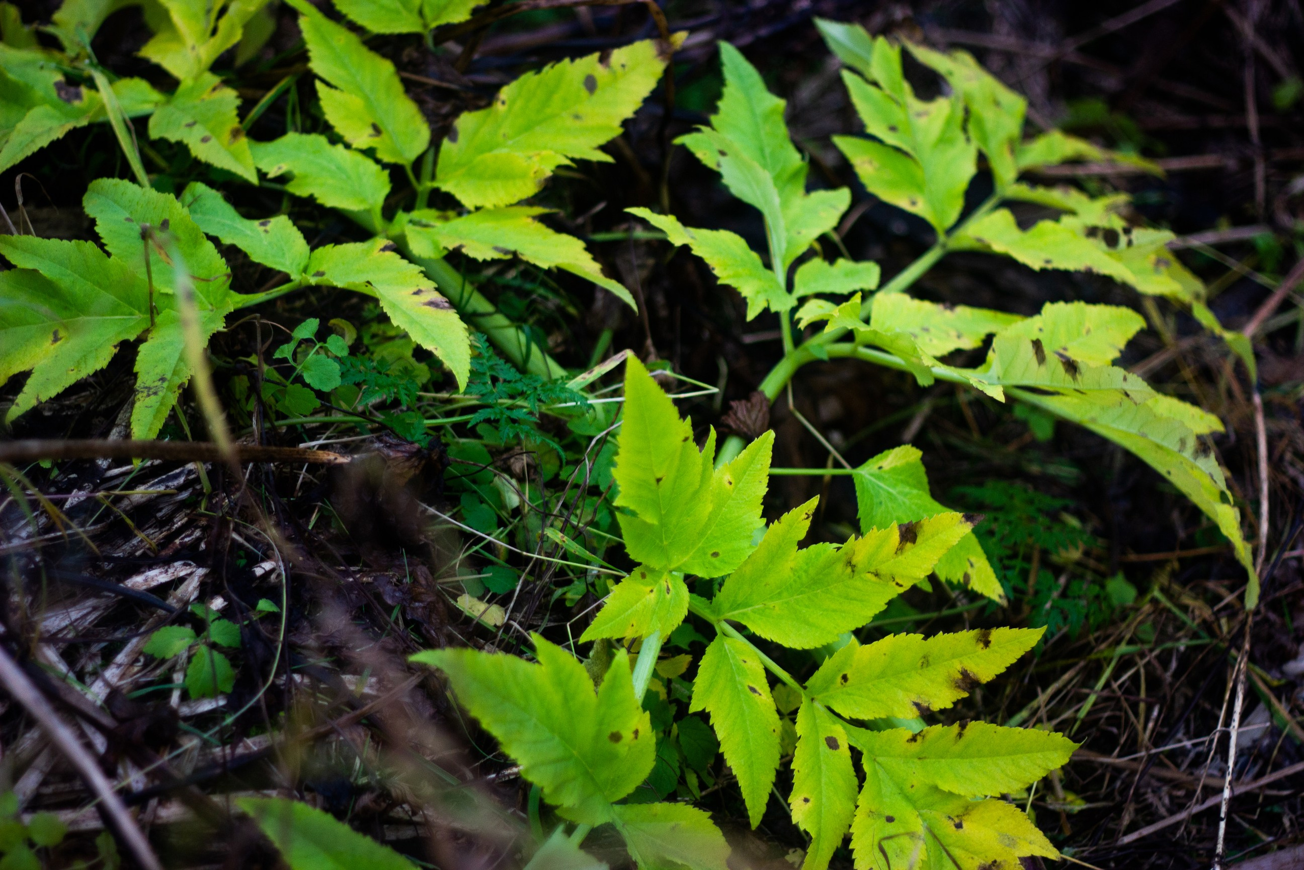 Станция Собь. Фотограф Екатерина Зорина