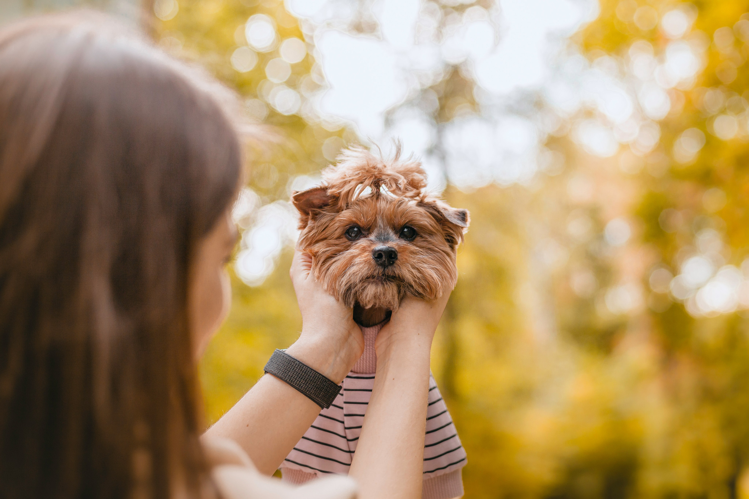 Катя и Моня. Фотограф-анималист Татьяна Степанова
