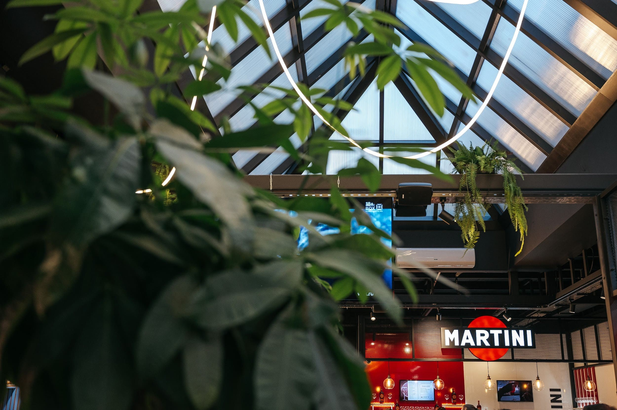 MARTINI. Владимир Дьяконов — Индустриальный и репортажной фотограф в России