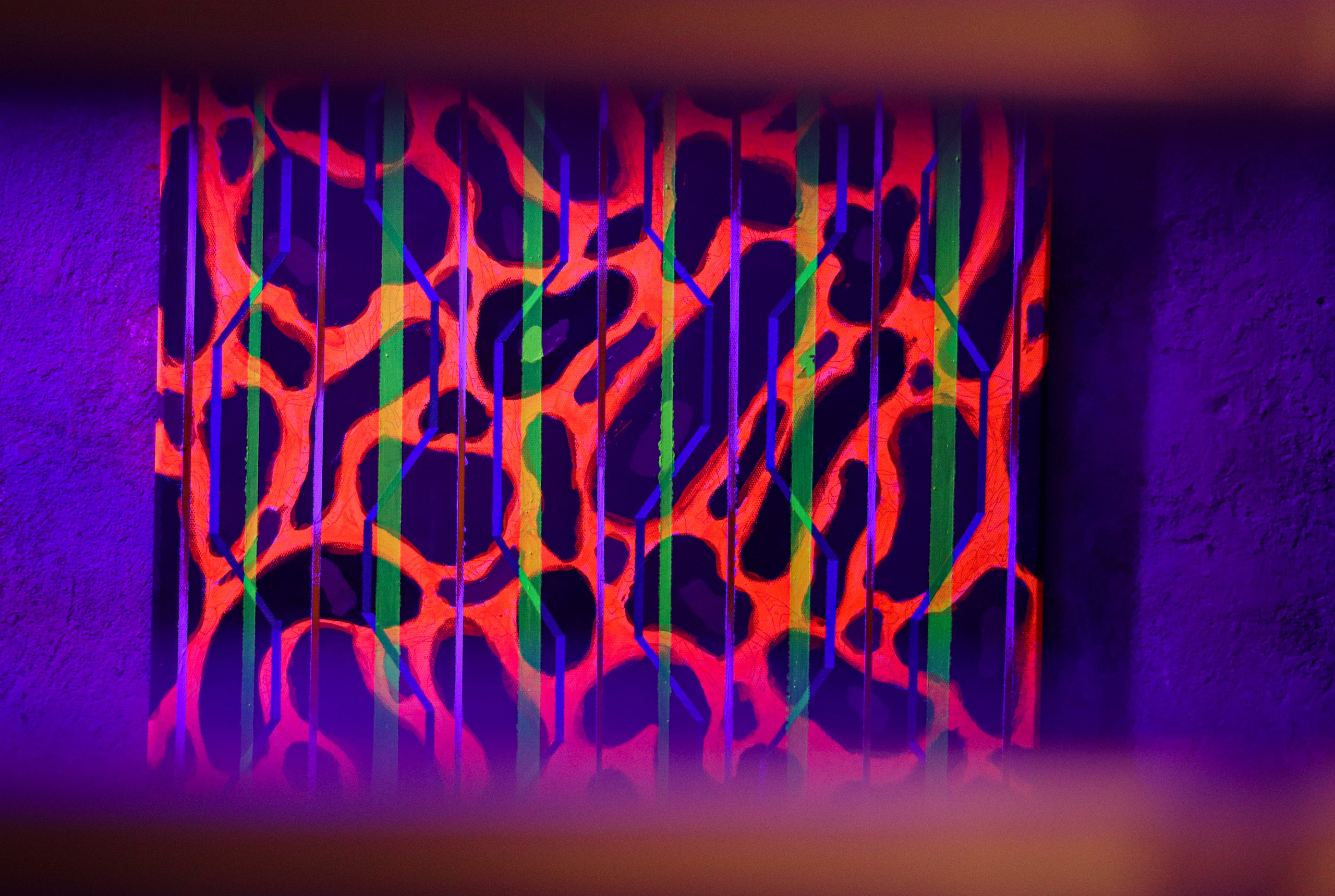 Выставка Алима Юсупова в квартире «Мира». Ивентный фотограф в Санкт-Петербурге Олег Комков