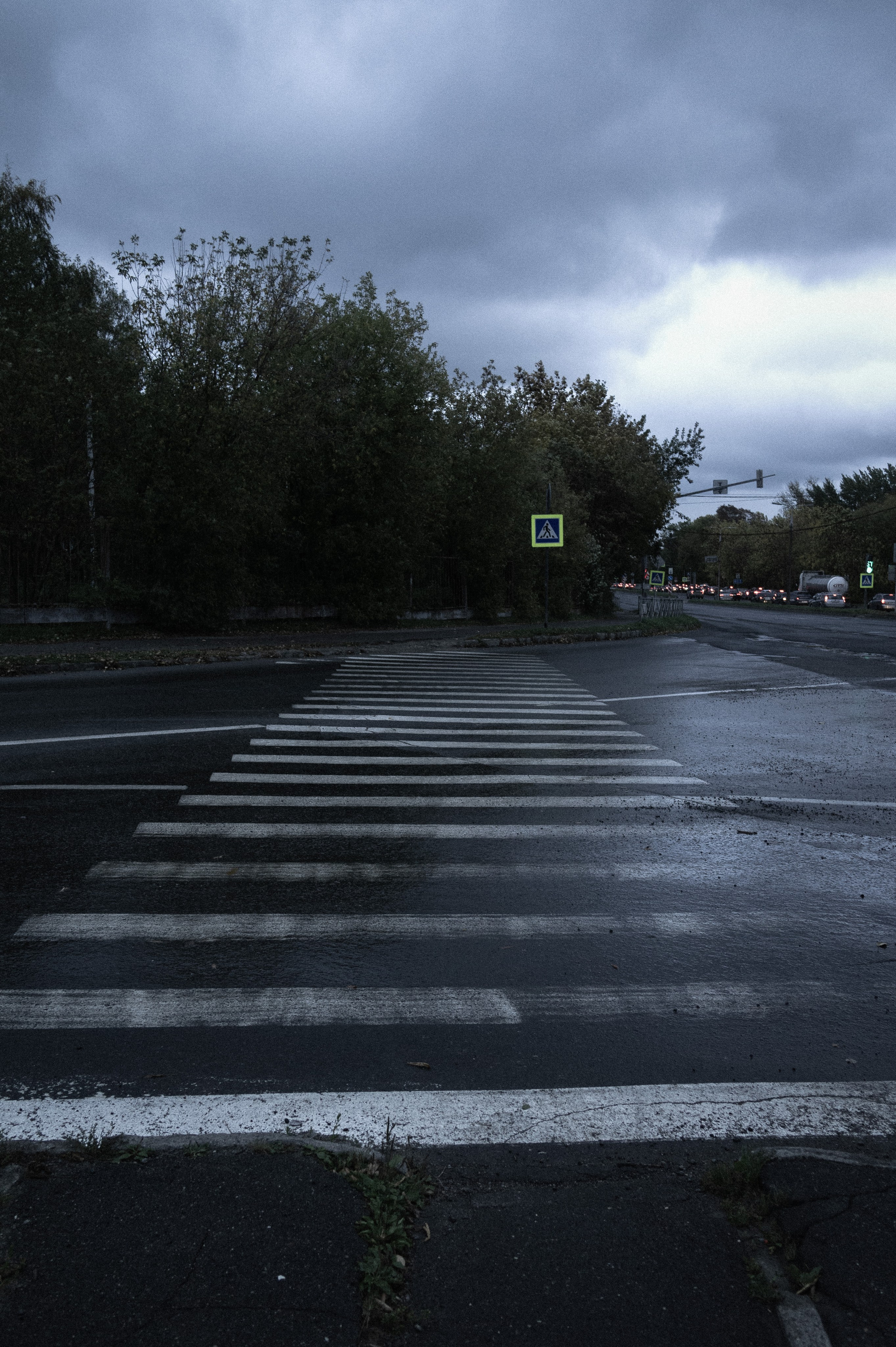 Сентябрь 2025. Den Mirov — Фотограф, Музыкант