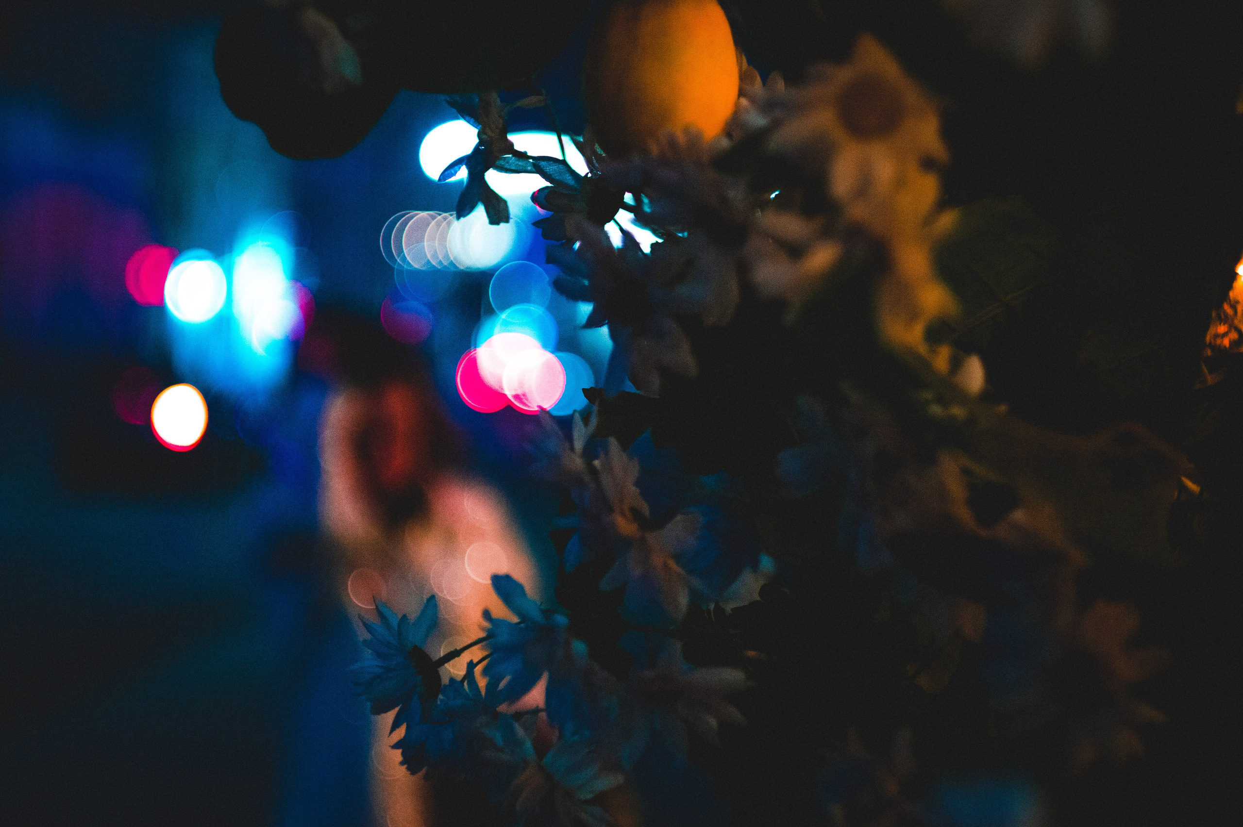 Missed shot. Den Mirov — Photographer, Musician