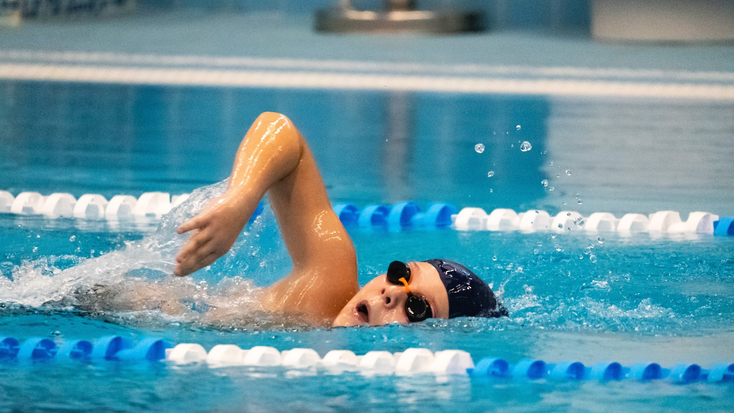 Соревнования по плаванию «Осенний спринт» 2025, МССУОР № 1. Фотограф и видеооператор Екатерина Гнатюк