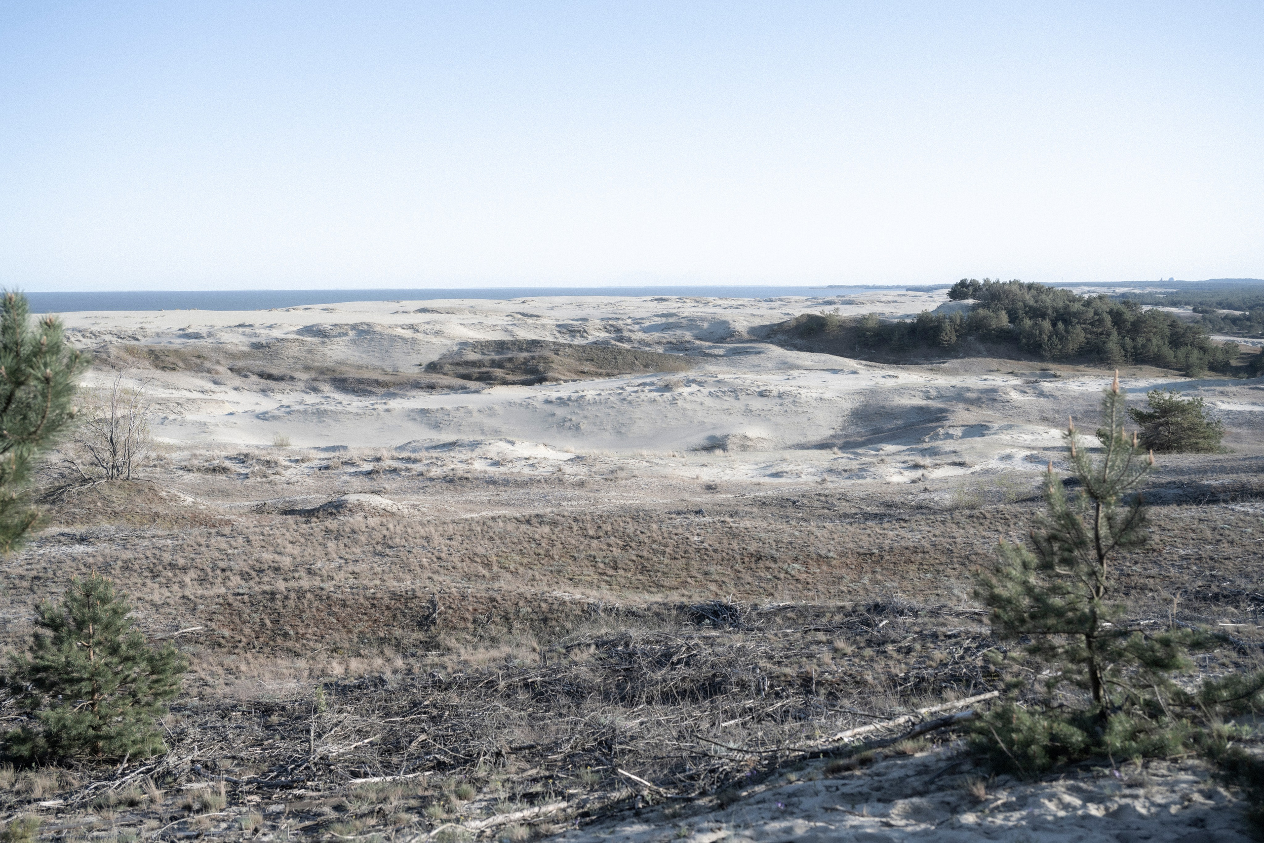 Калининград