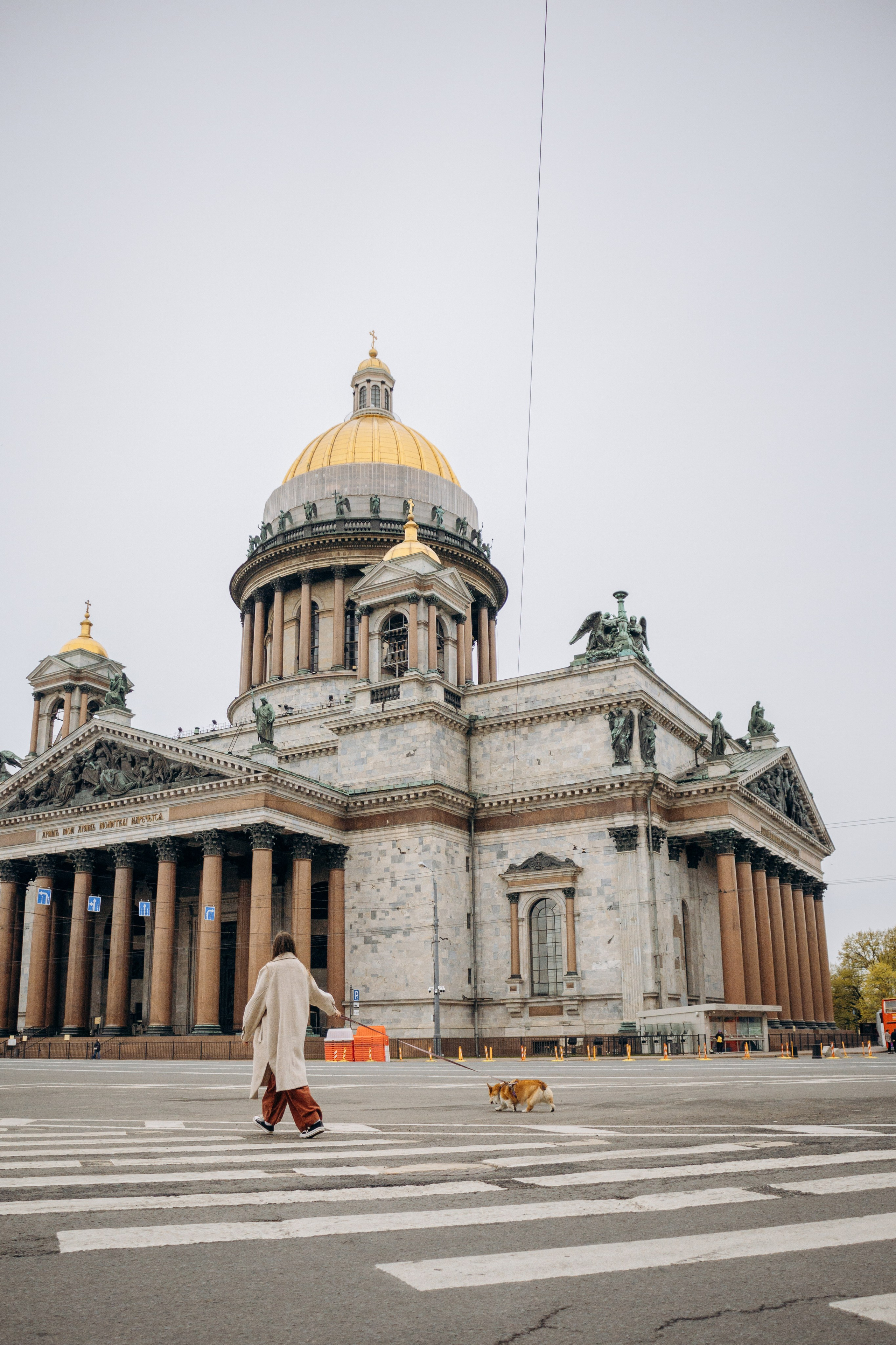Лина и Маффин. Фотограф-анималист в Санкт-Петербурге