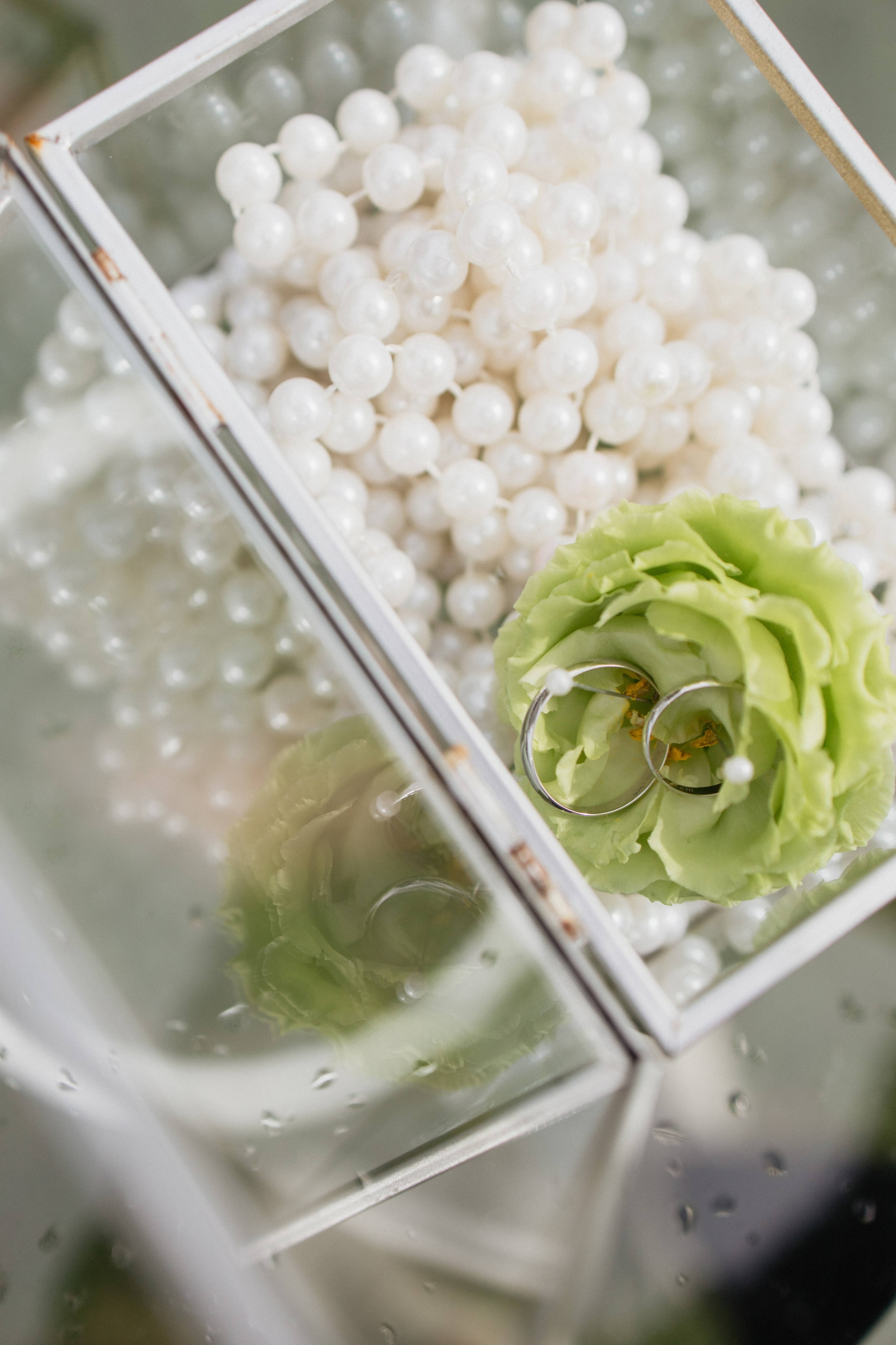 Андрей & Лера | ROBINSON CLUB. Свадебный фотограф в Минске Владислав Бабич