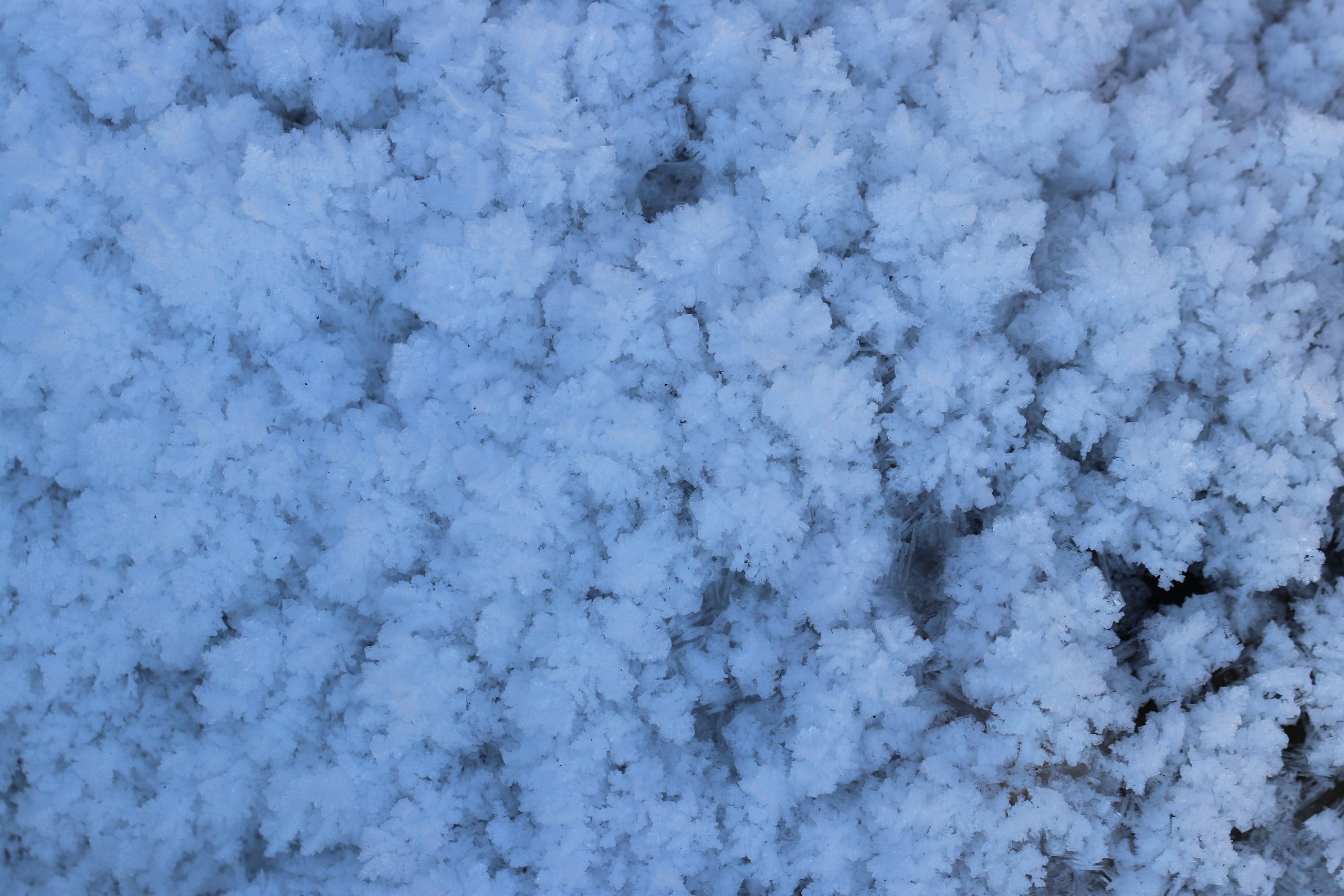 Аршан. Январь 2022. Путешественник-фотограф из Санкт-Петербурга Татьяна Свистулина