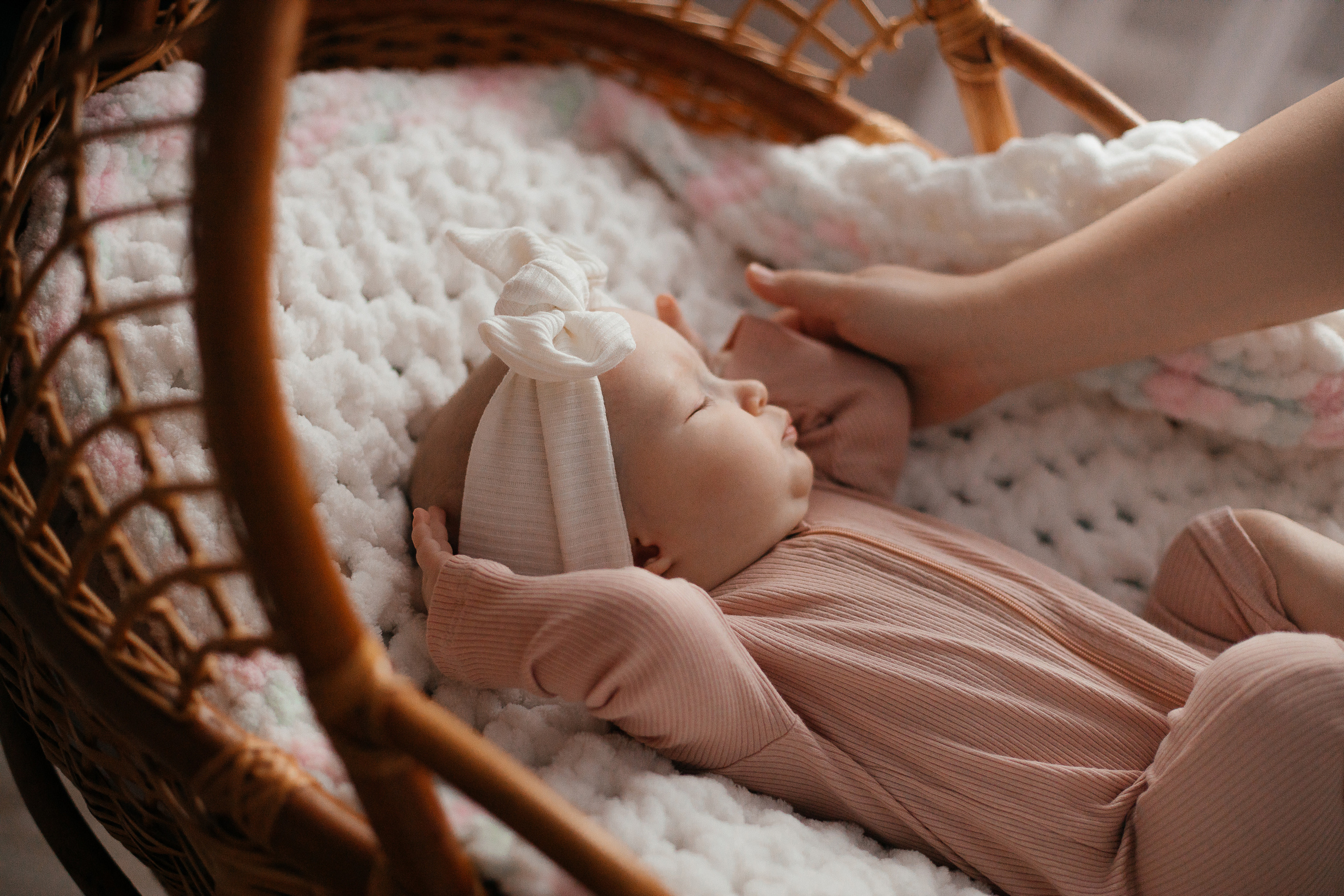 Условия работы и цены. Фотограф Алиса Котанова