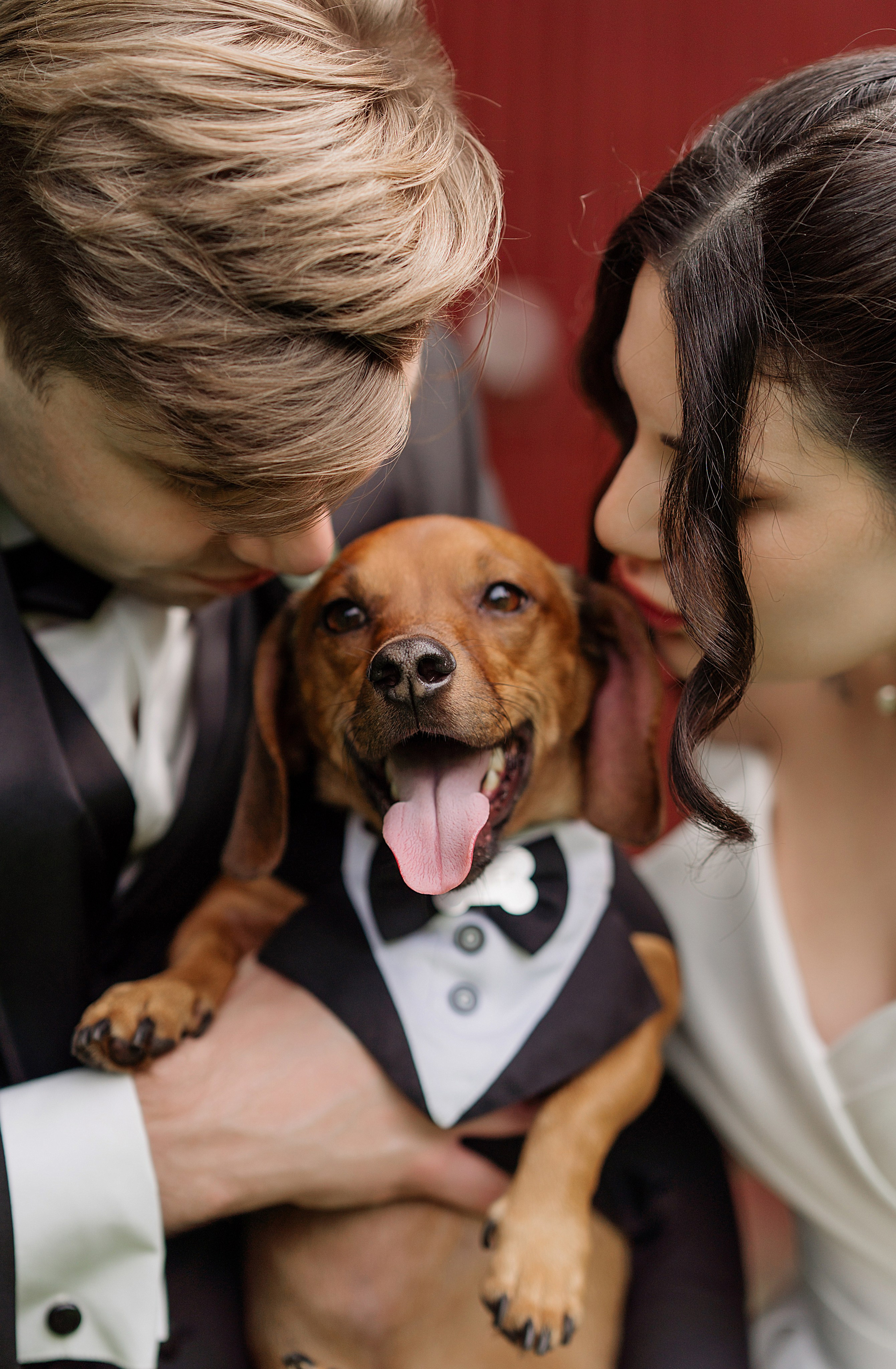 Клкллкаккк. Свадебный фотограф